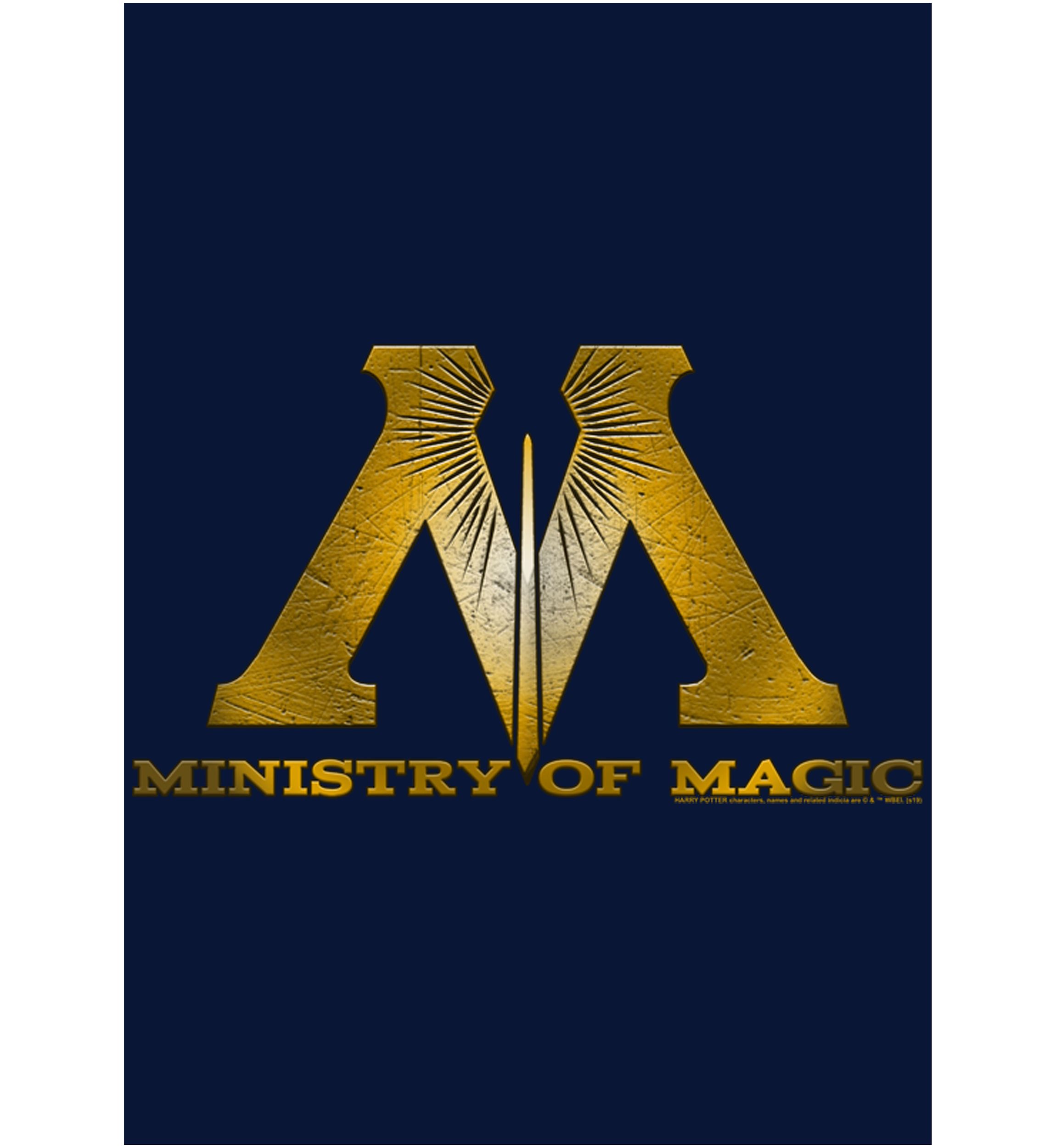 Boys 4-7  Ministry of Magic Logo Graphic T-Shirt