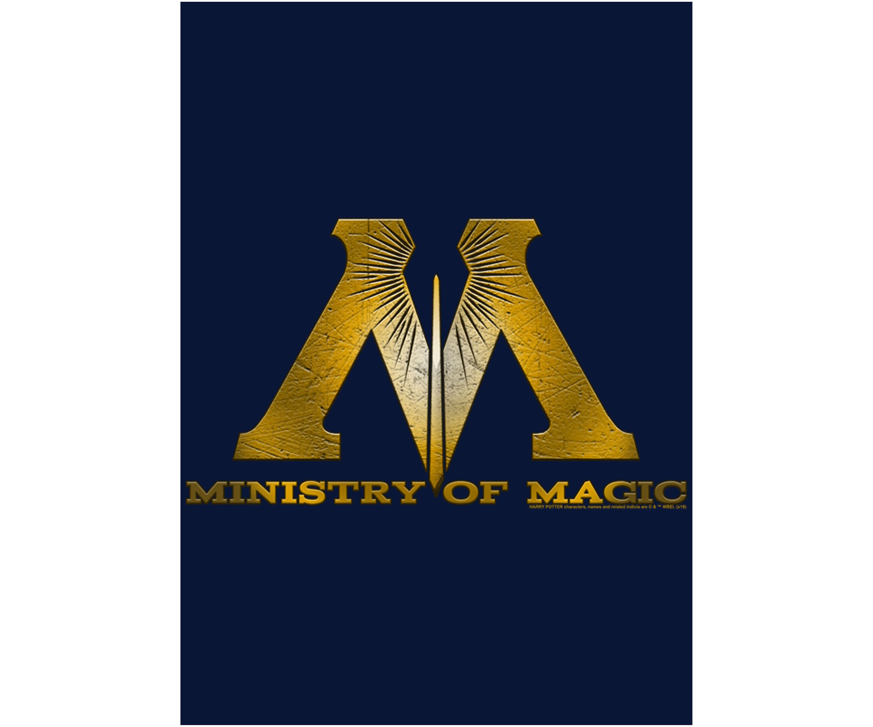 Boys 4-7  Ministry of Magic Logo Graphic T-Shirt