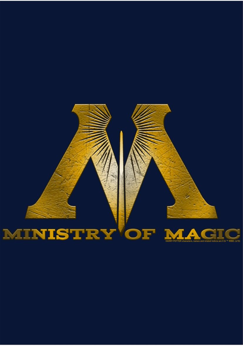 Boys 4-7  Ministry of Magic Logo Graphic T-Shirt
