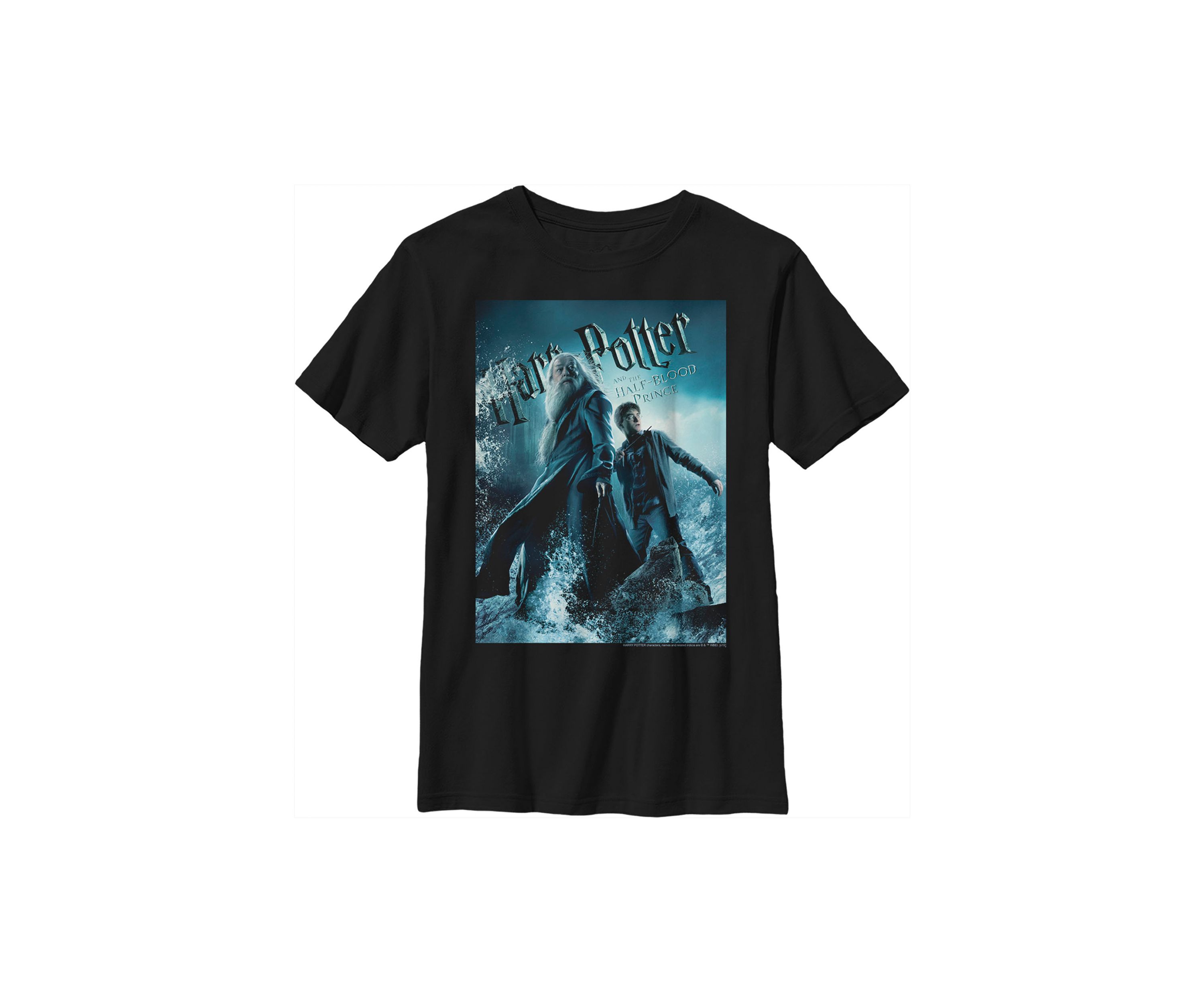 Boys 4-7  Harry & Dumbledore Poster Graphic T-Shirt