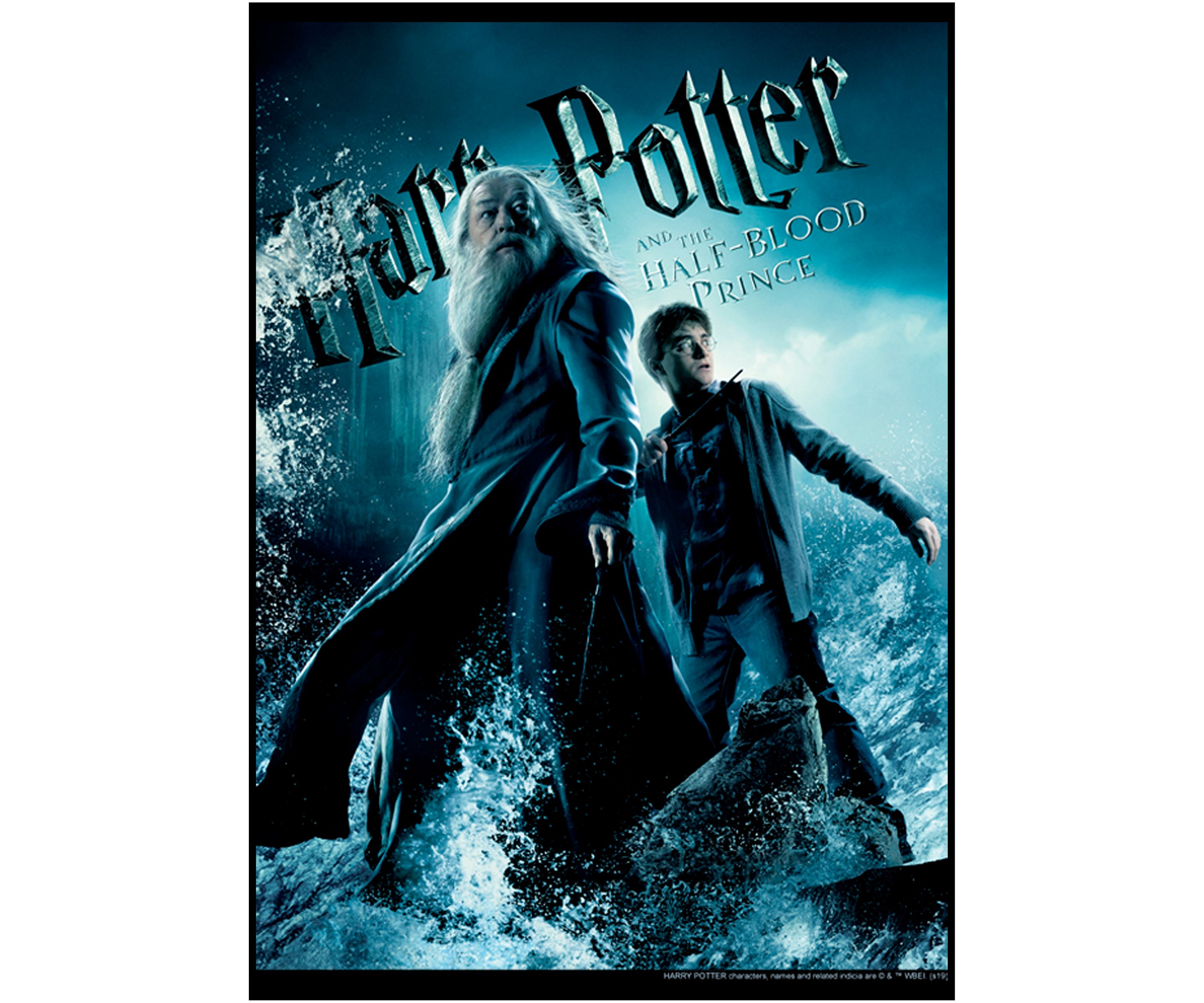 Boys 4-7  Harry & Dumbledore Poster Graphic T-Shirt