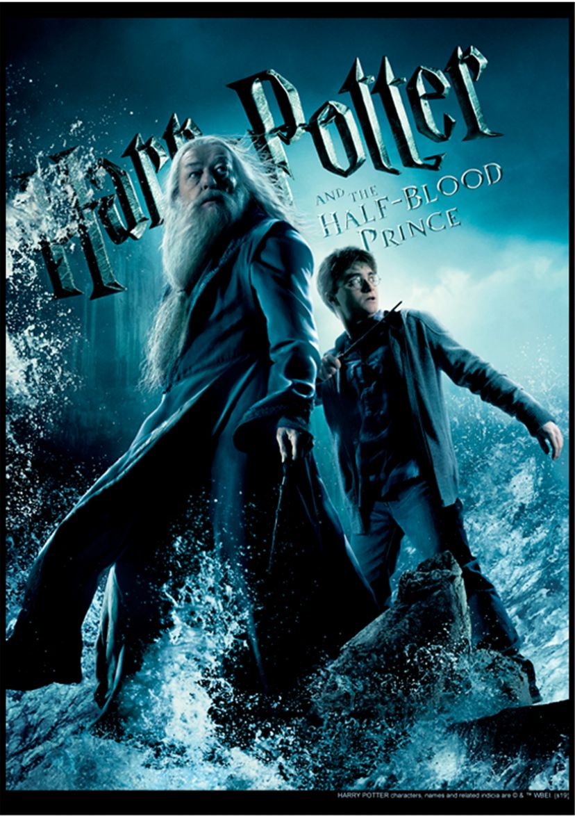 Boys 4-7  Harry & Dumbledore Poster Graphic T-Shirt