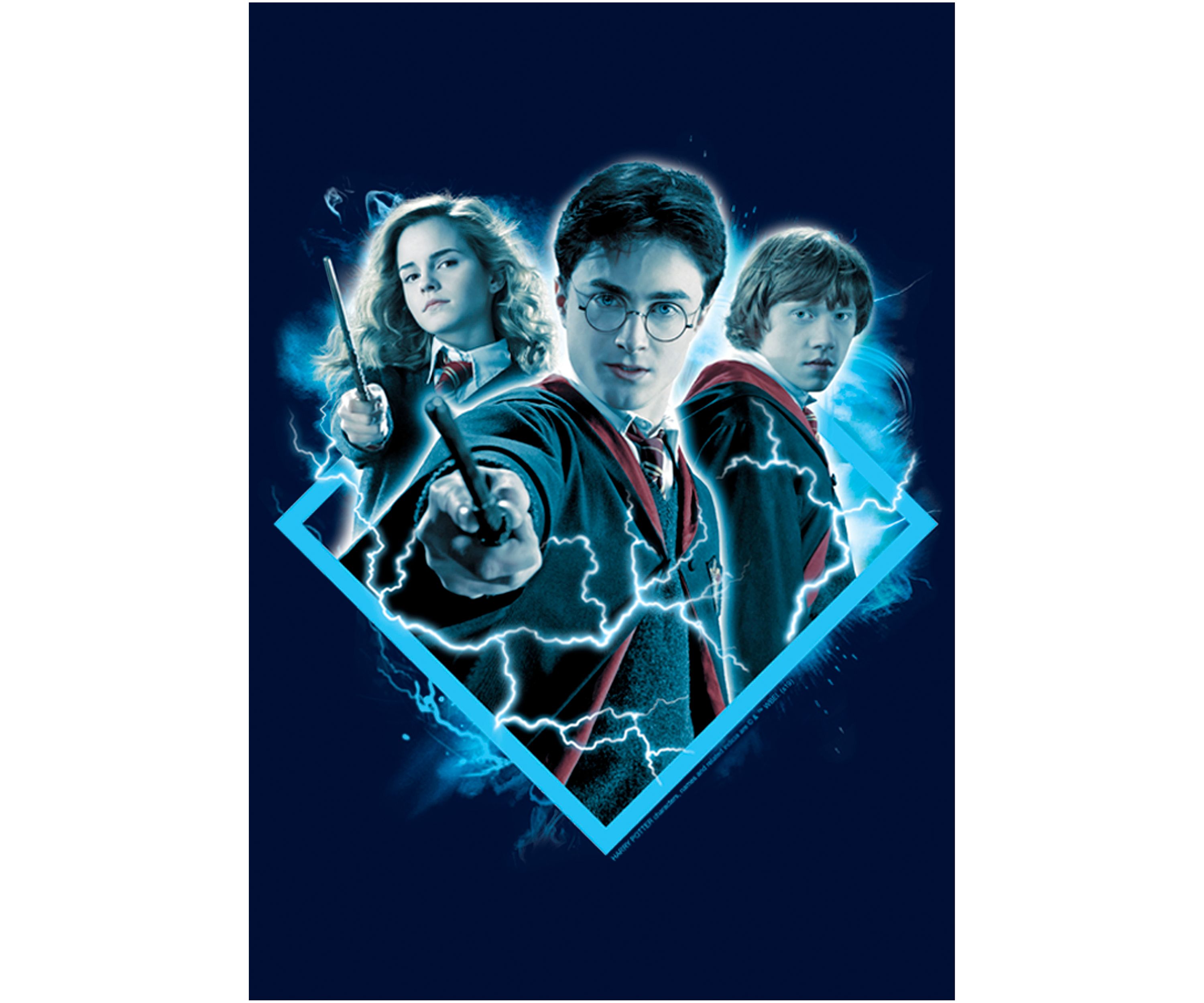 Boys 4-7  Potter Trio Graphic T-Shirt