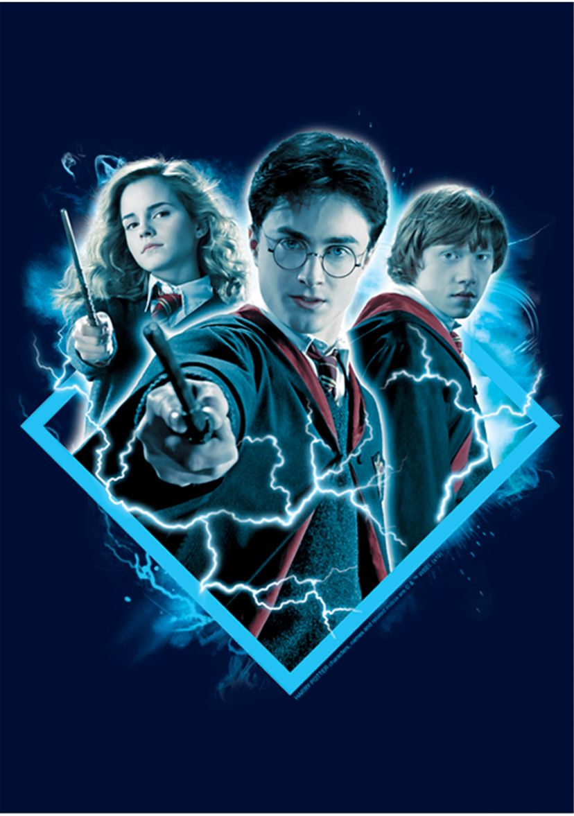 Boys 4-7  Potter Trio Graphic T-Shirt