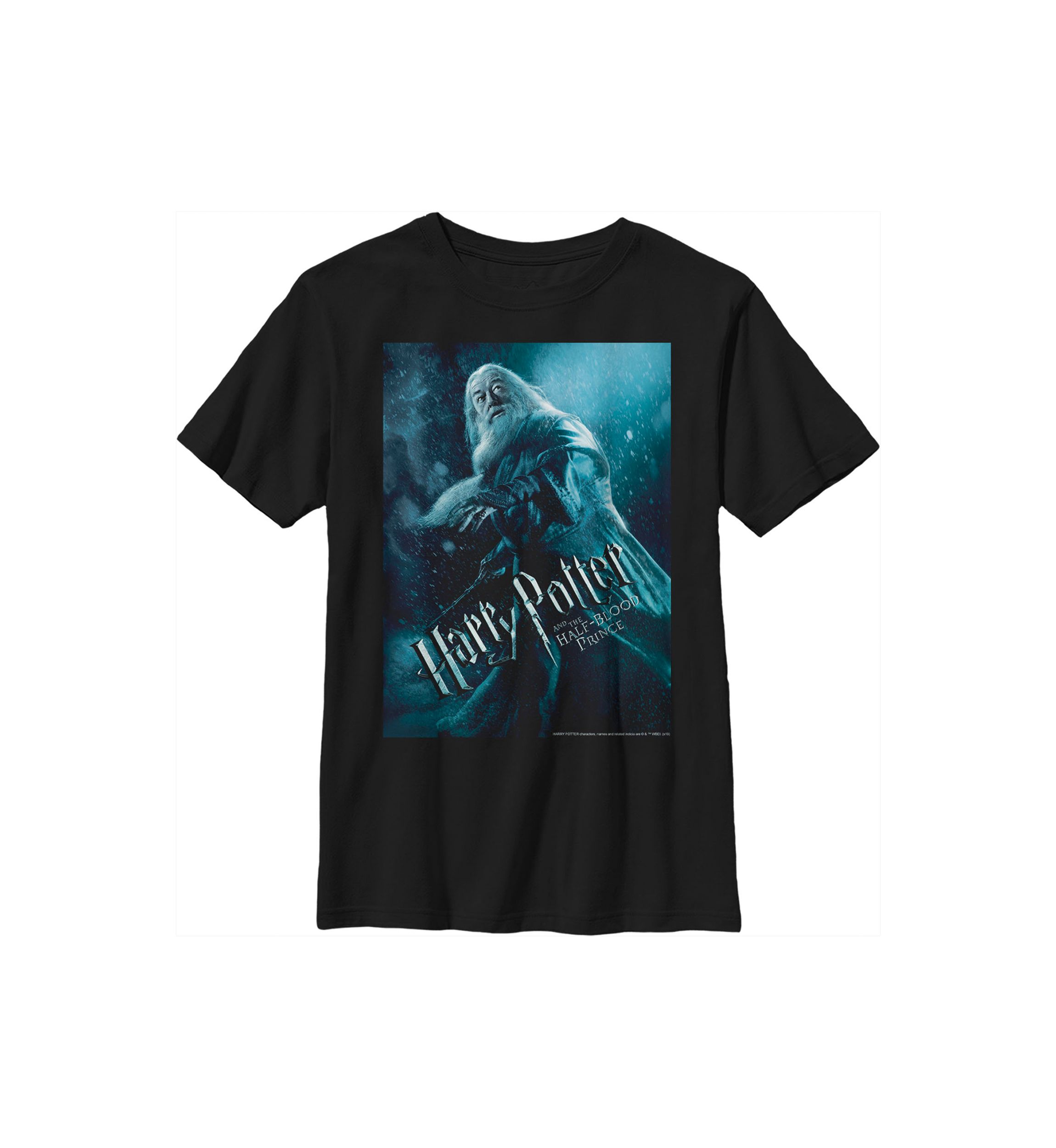 Boys 4-7  Dumbledore Poster Graphic T-Shirt