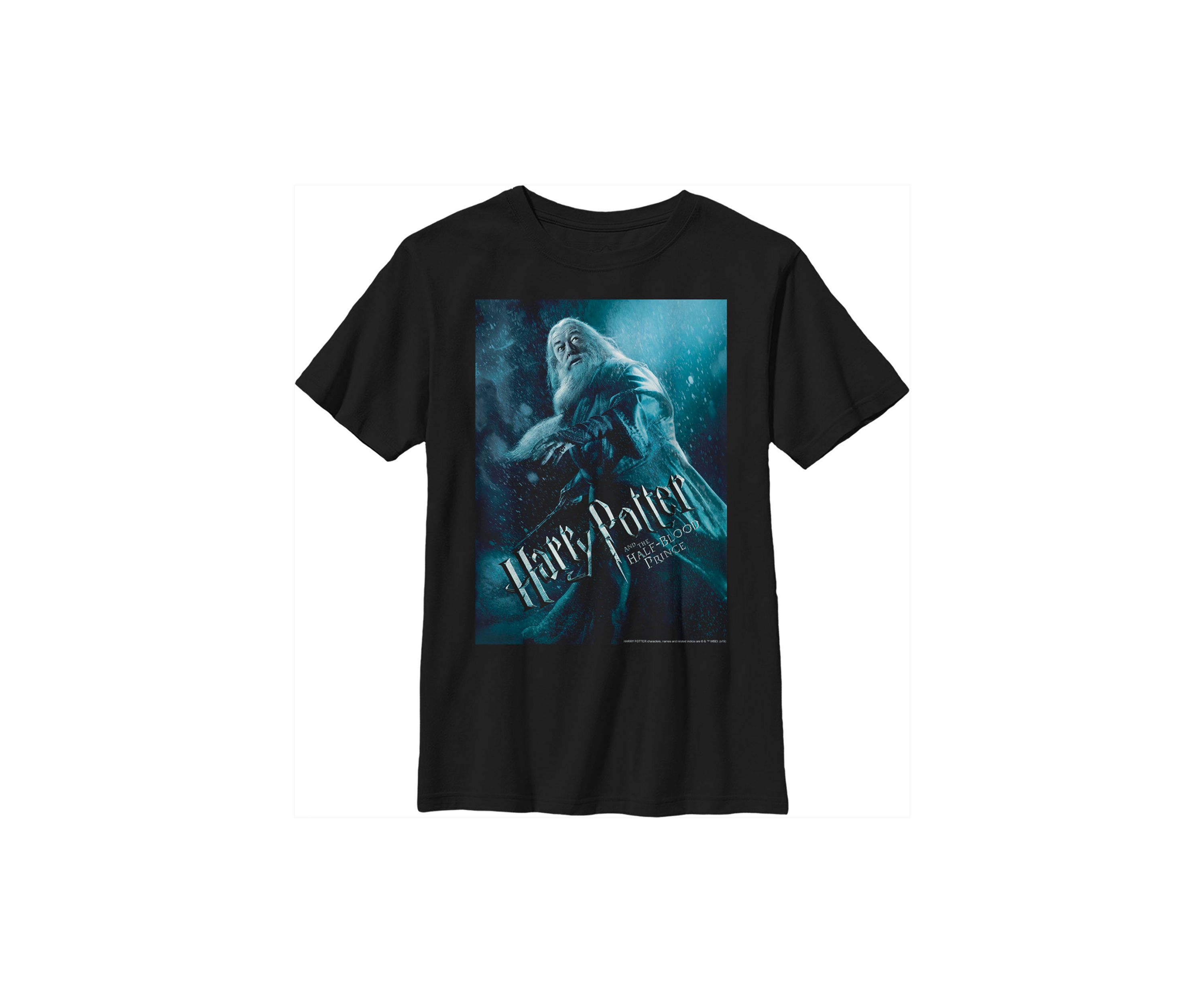 Boys 4-7  Dumbledore Poster Graphic T-Shirt