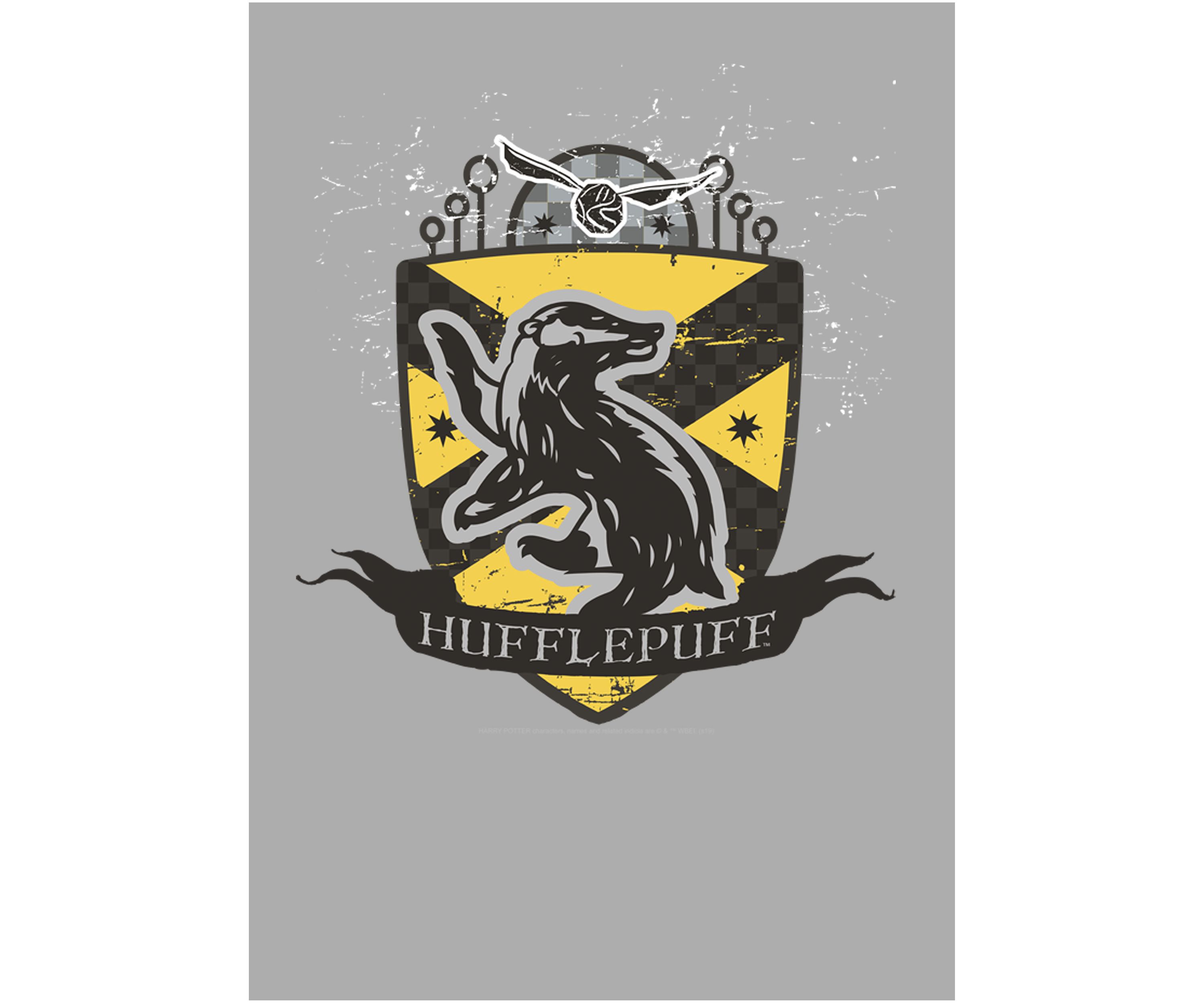 Boys 4-7  Hufflepuff Badge Graphic T-Shirt