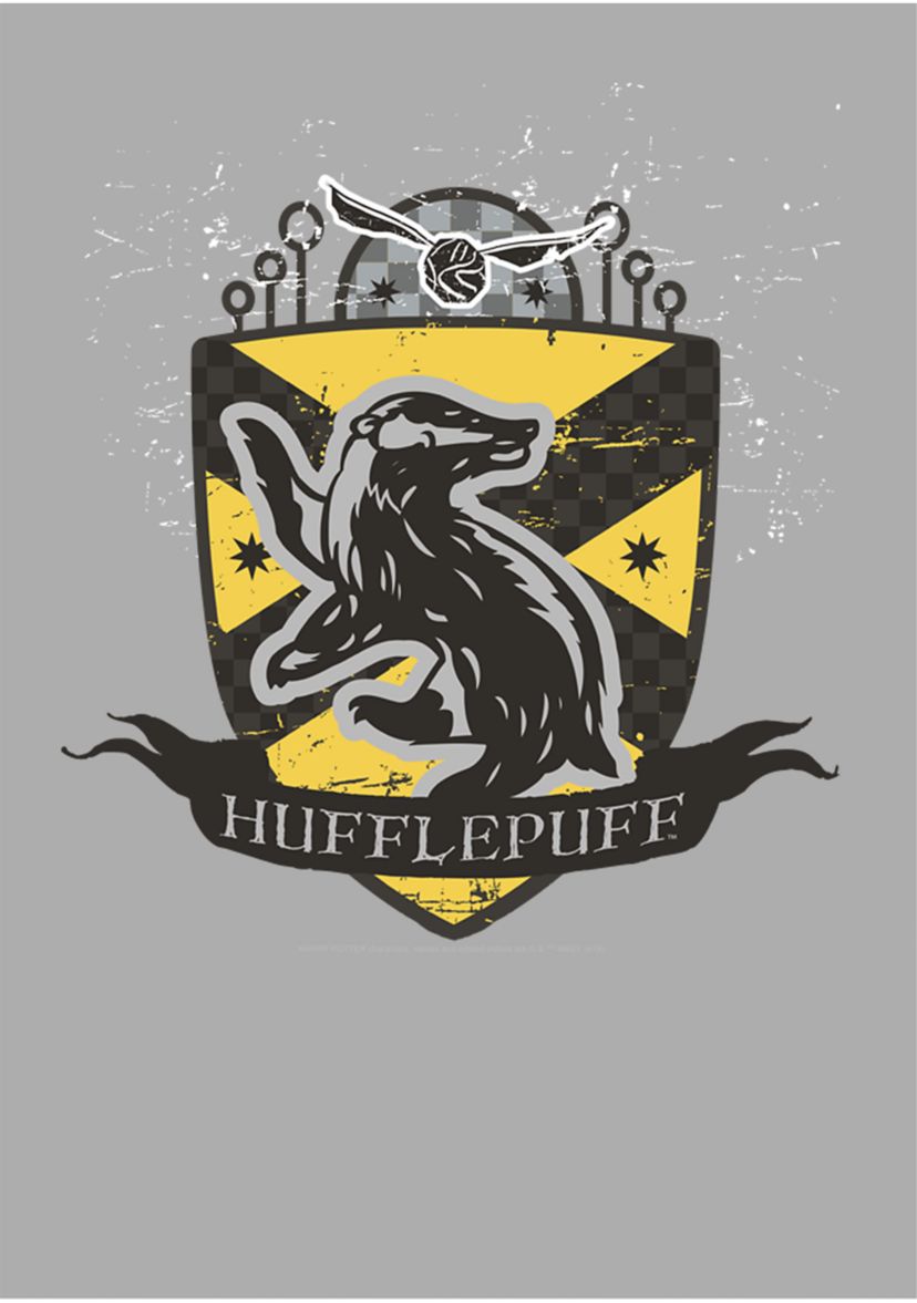 Boys 4-7  Hufflepuff Badge Graphic T-Shirt