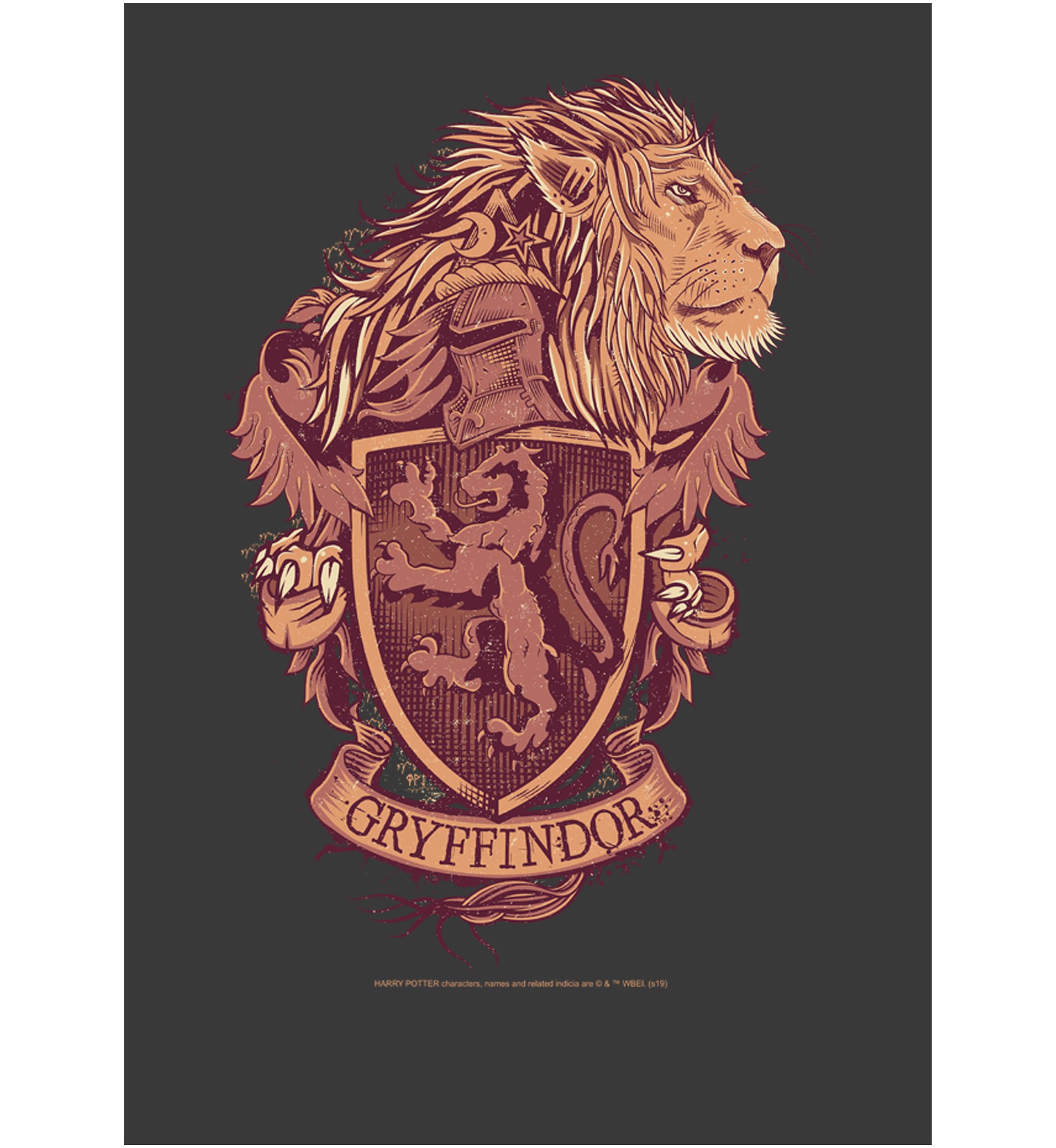 Boys 4-7  Gryffindor House Crest Graphic T-Shirt