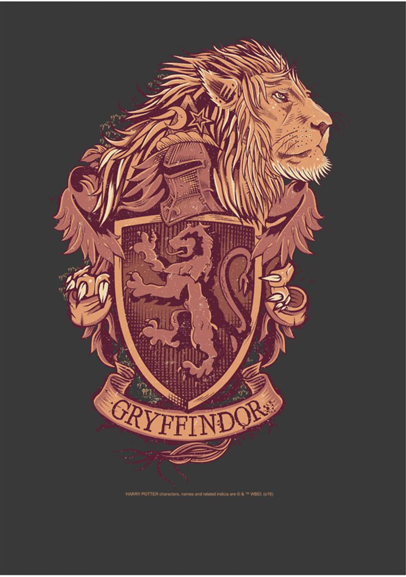 Boys 4-7  Gryffindor House Crest Graphic T-Shirt