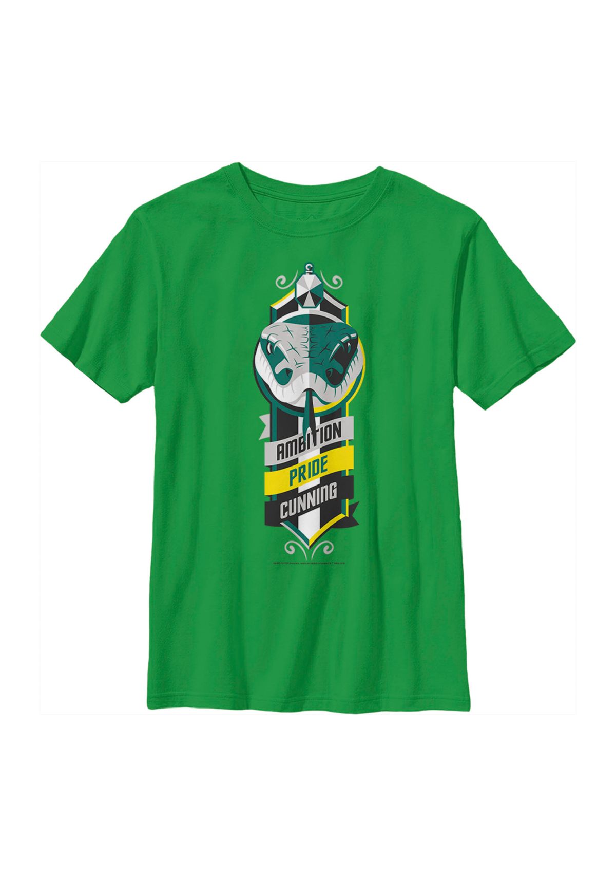 Boys 4-7  Ambition Pride Cunning Graphic T-Shirt