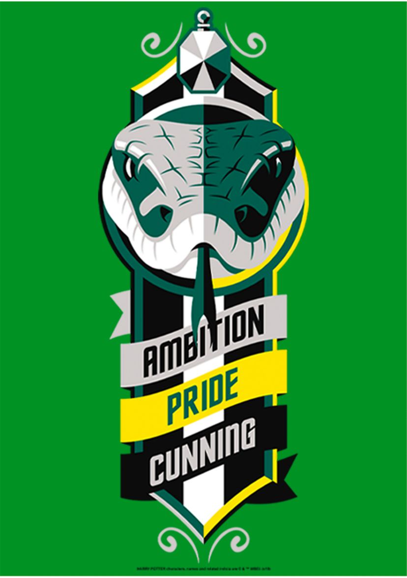 Boys 4-7  Ambition Pride Cunning Graphic T-Shirt