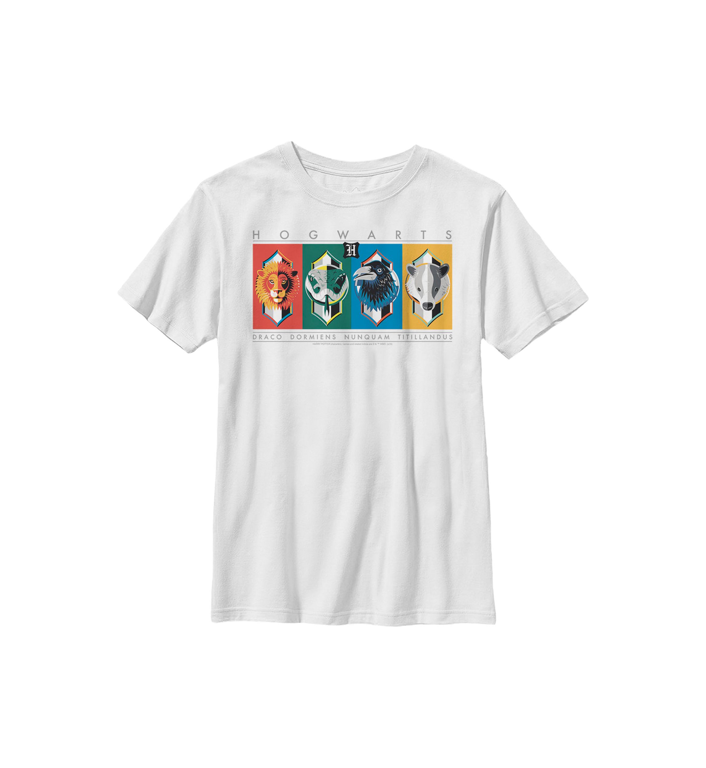 Boys 4-7  Hogwarts House Symbols Graphic T-Shirt