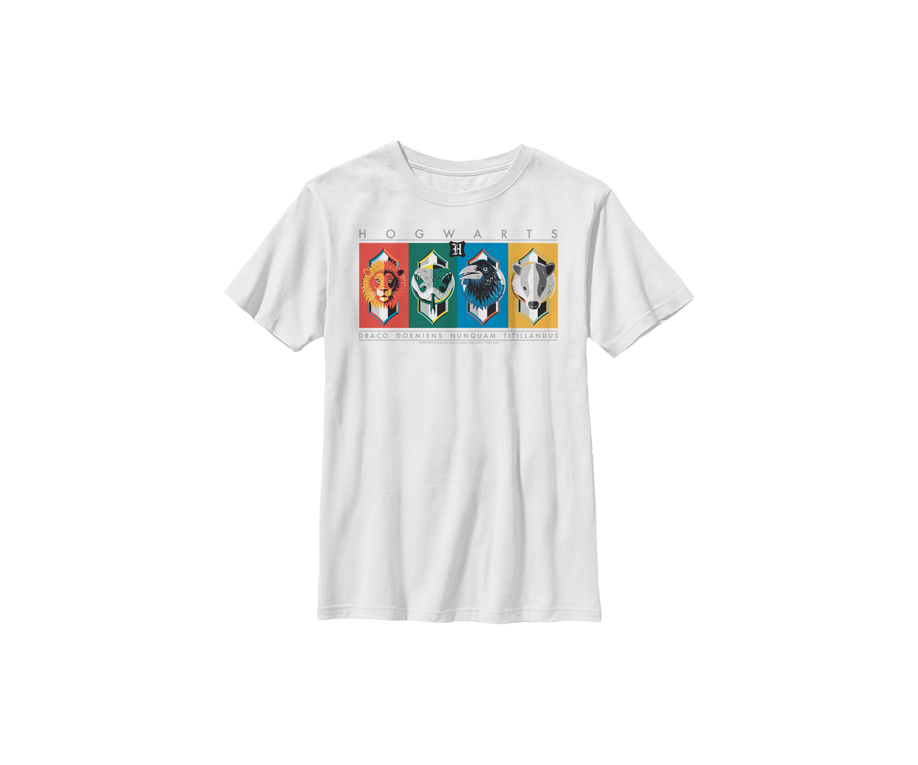 Boys 4-7  Hogwarts House Symbols Graphic T-Shirt