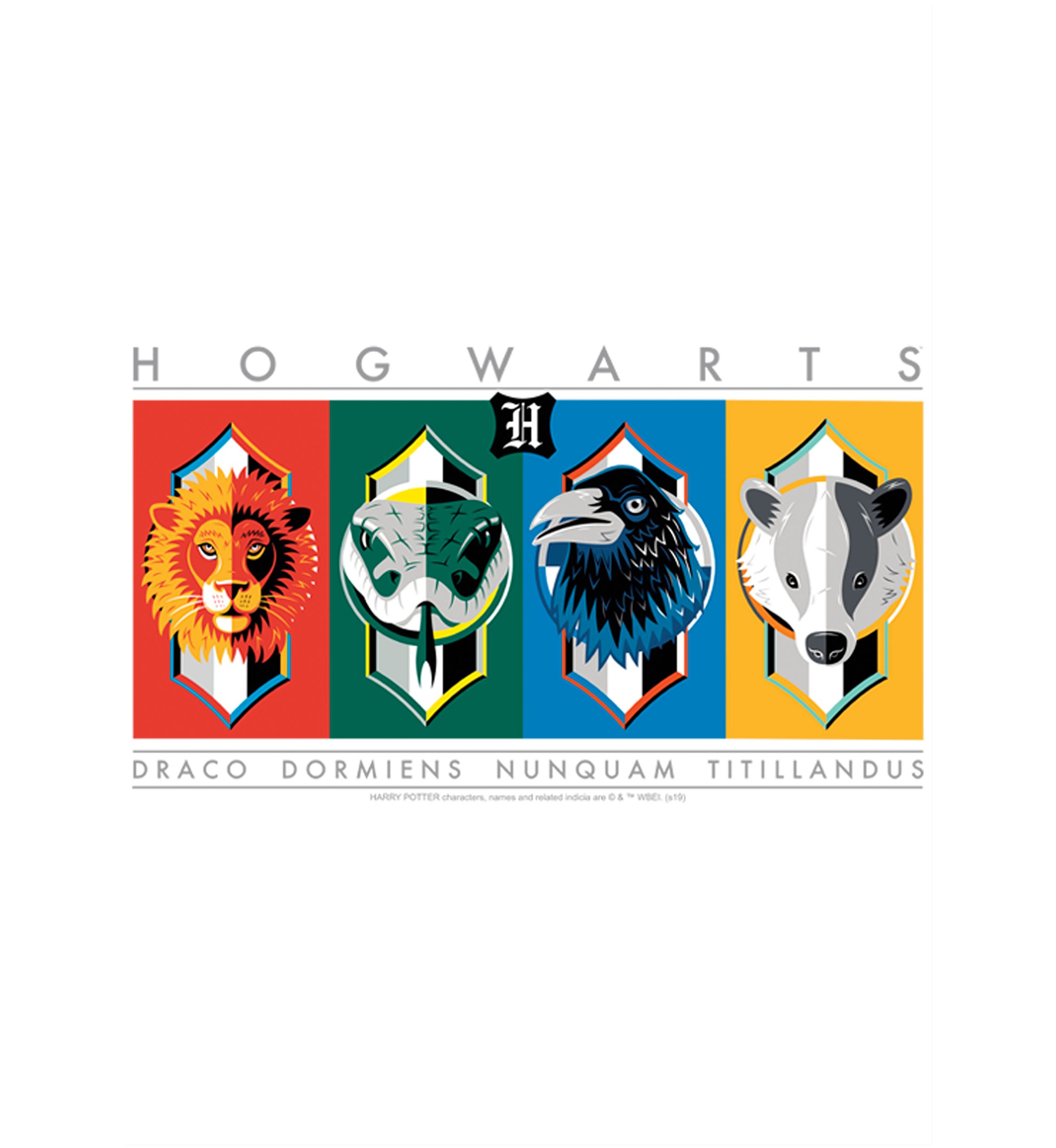 Boys 4-7  Hogwarts House Symbols Graphic T-Shirt