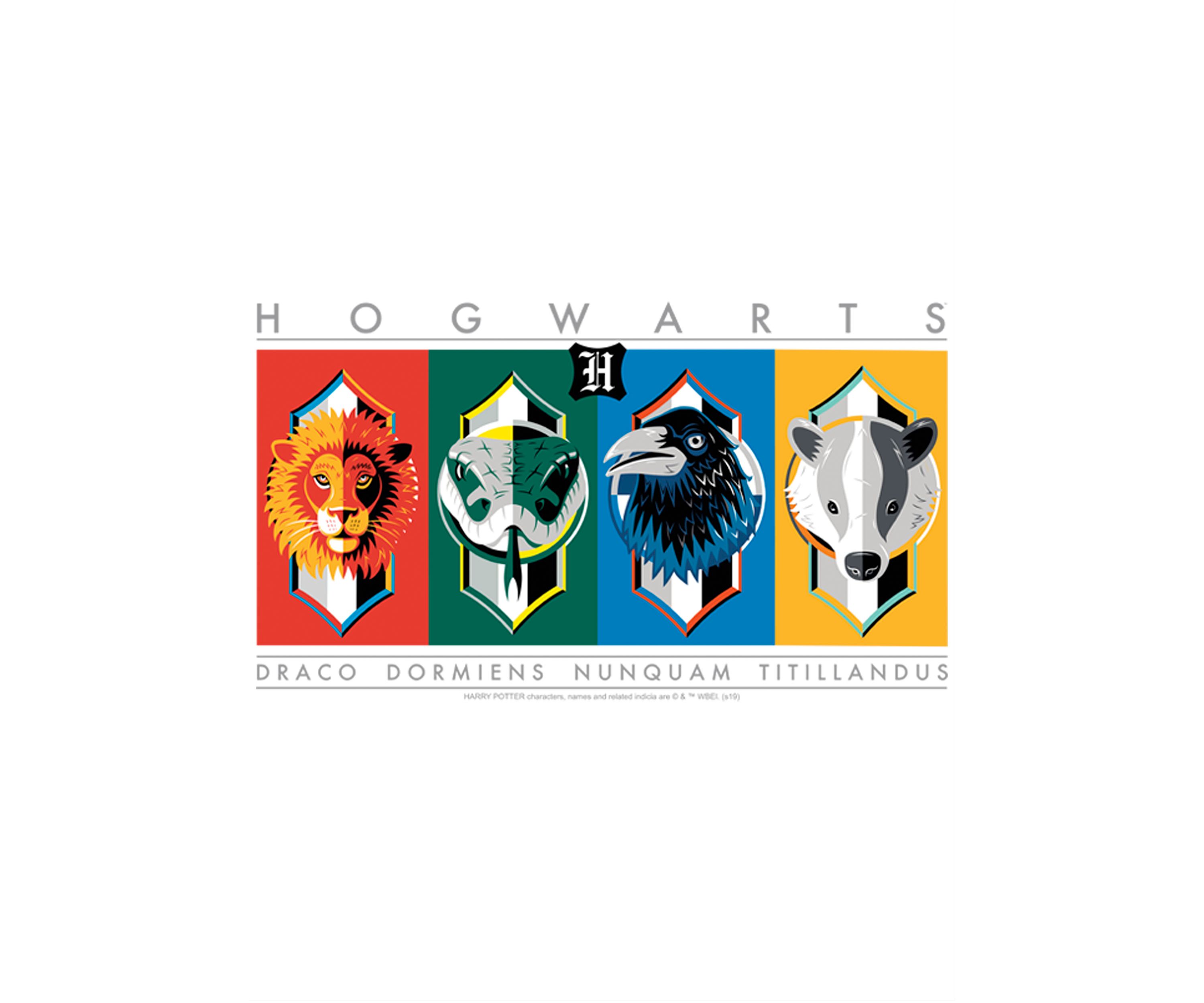 Boys 4-7  Hogwarts House Symbols Graphic T-Shirt