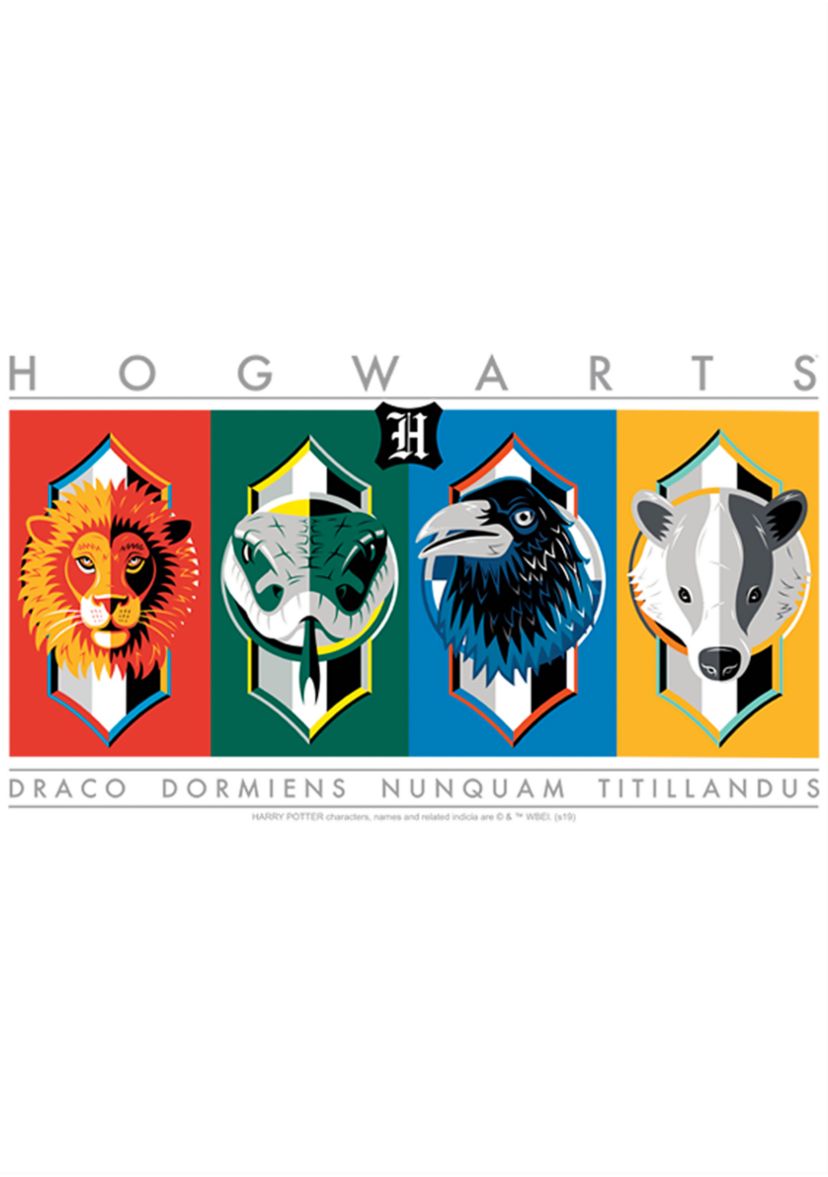Boys 4-7  Hogwarts House Symbols Graphic T-Shirt