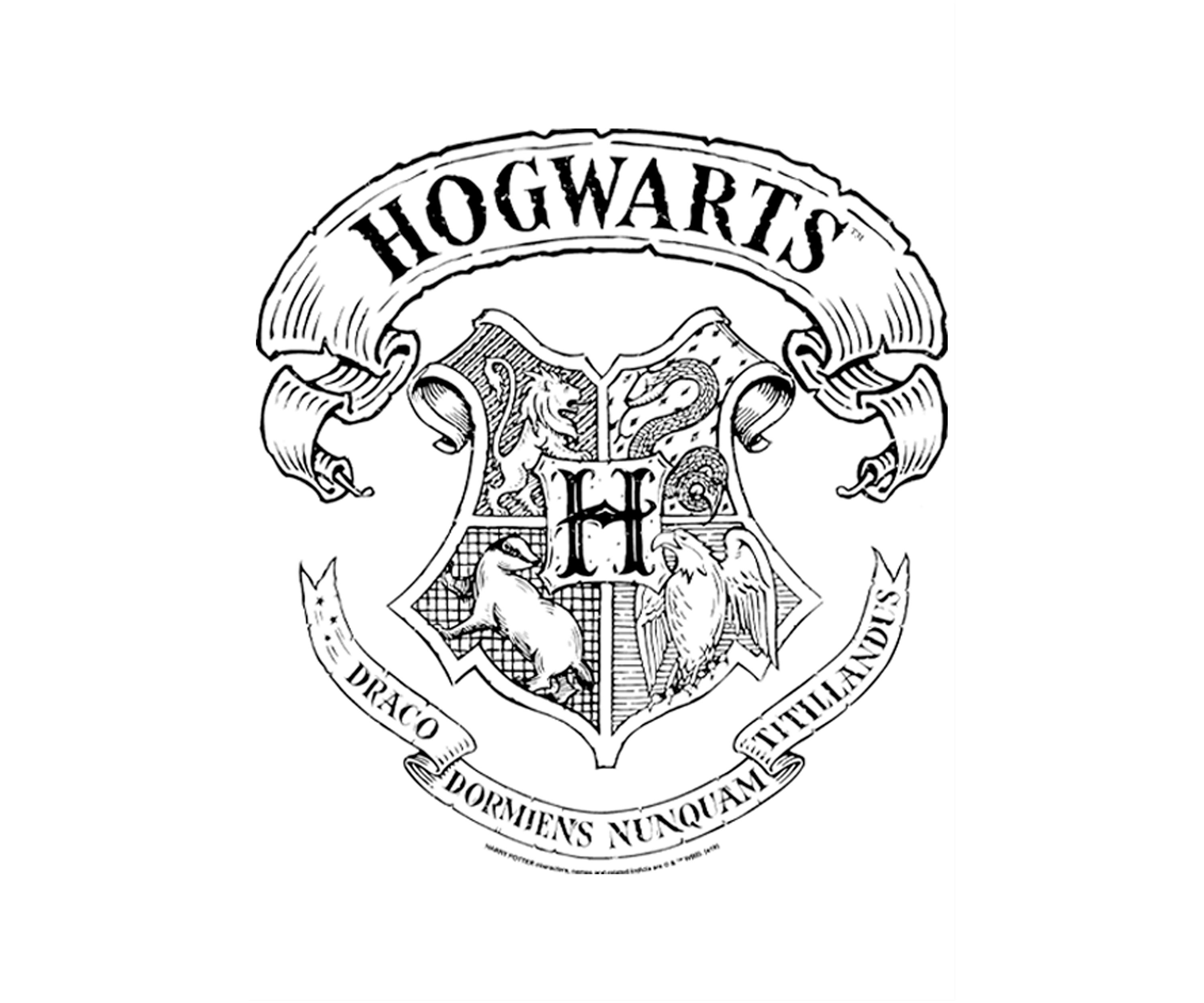 Boys 4-7  Hogwarts Crest Graphic T-Shirt