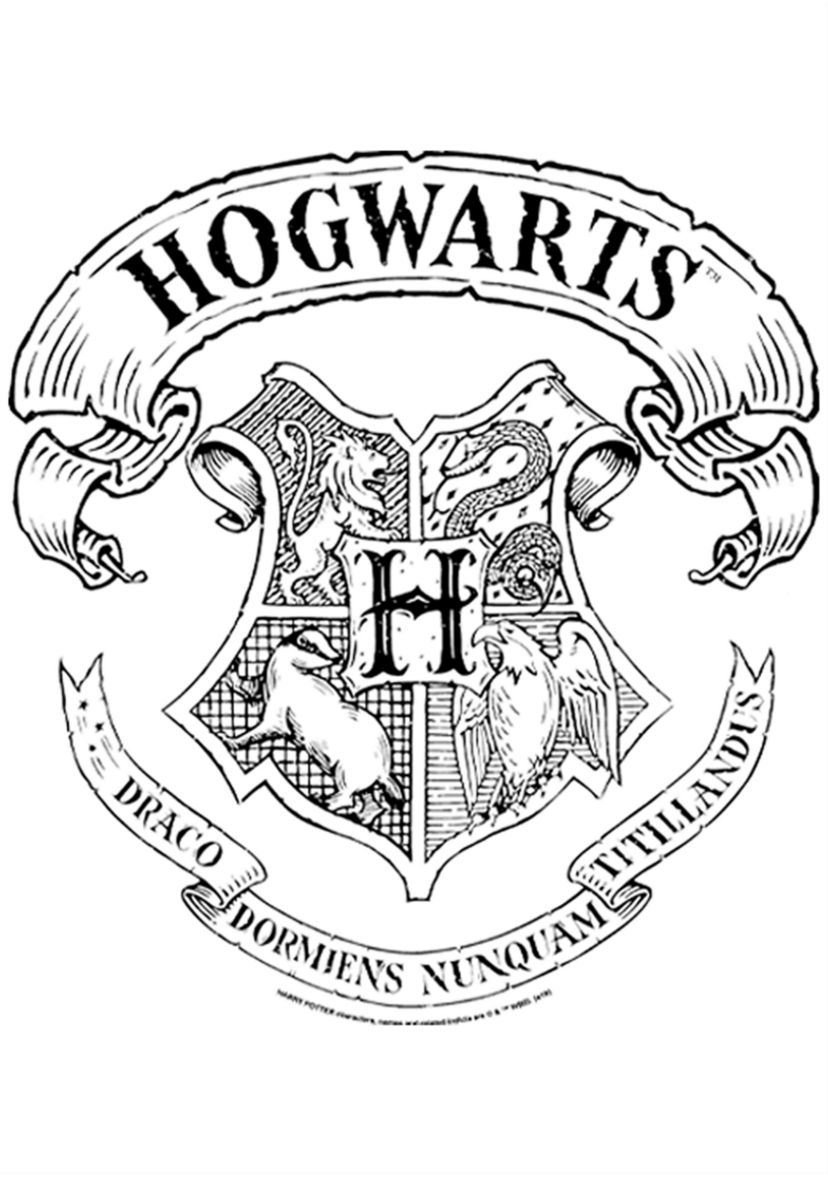 Boys 4-7  Hogwarts Crest Graphic T-Shirt