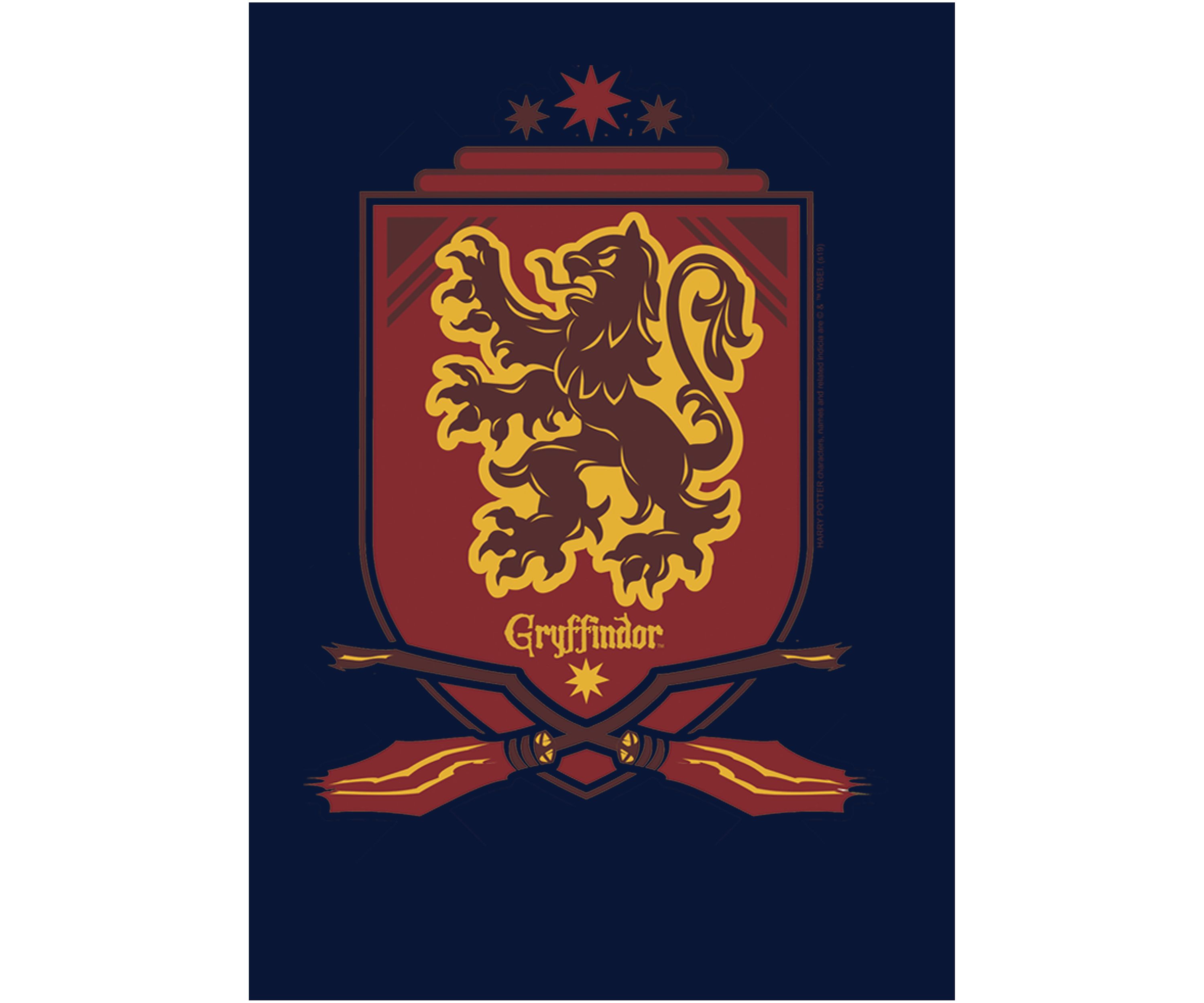 Boys 4-7  Gryffindor Shield Graphic T-Shirt
