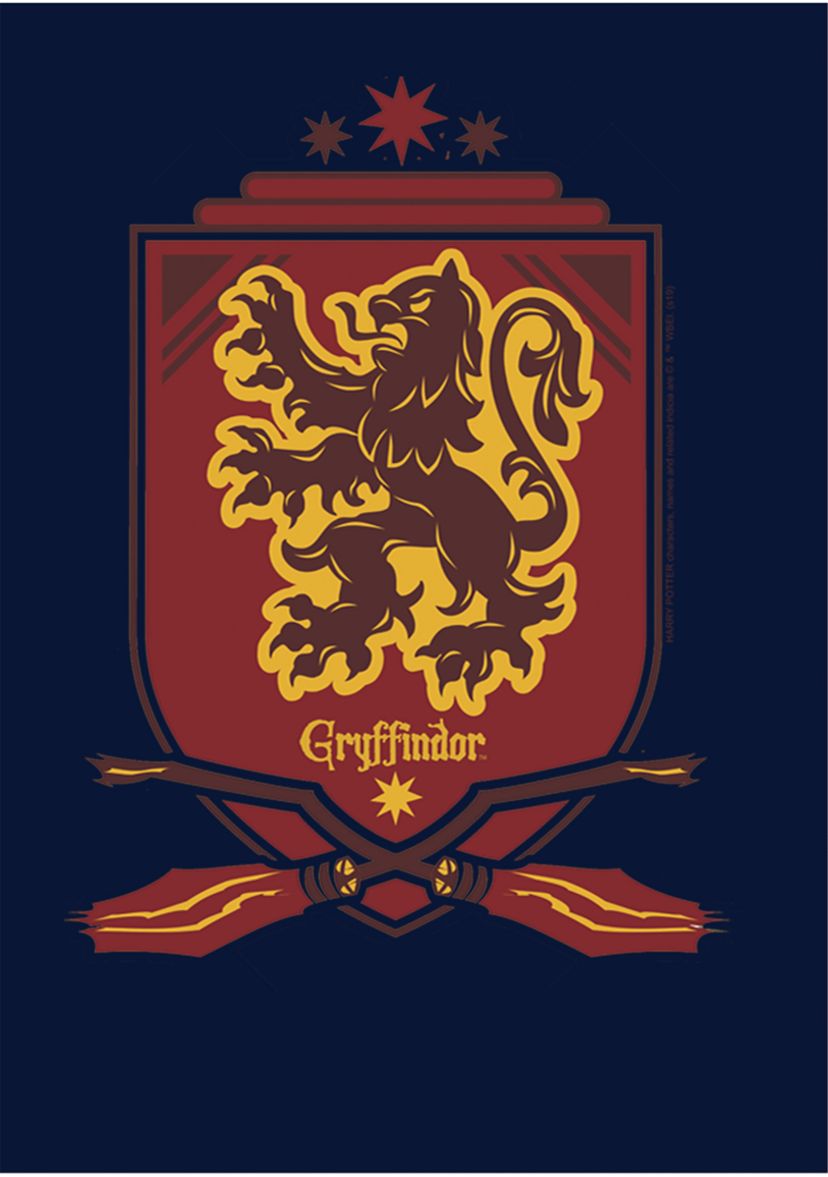 Boys 4-7  Gryffindor Shield Graphic T-Shirt