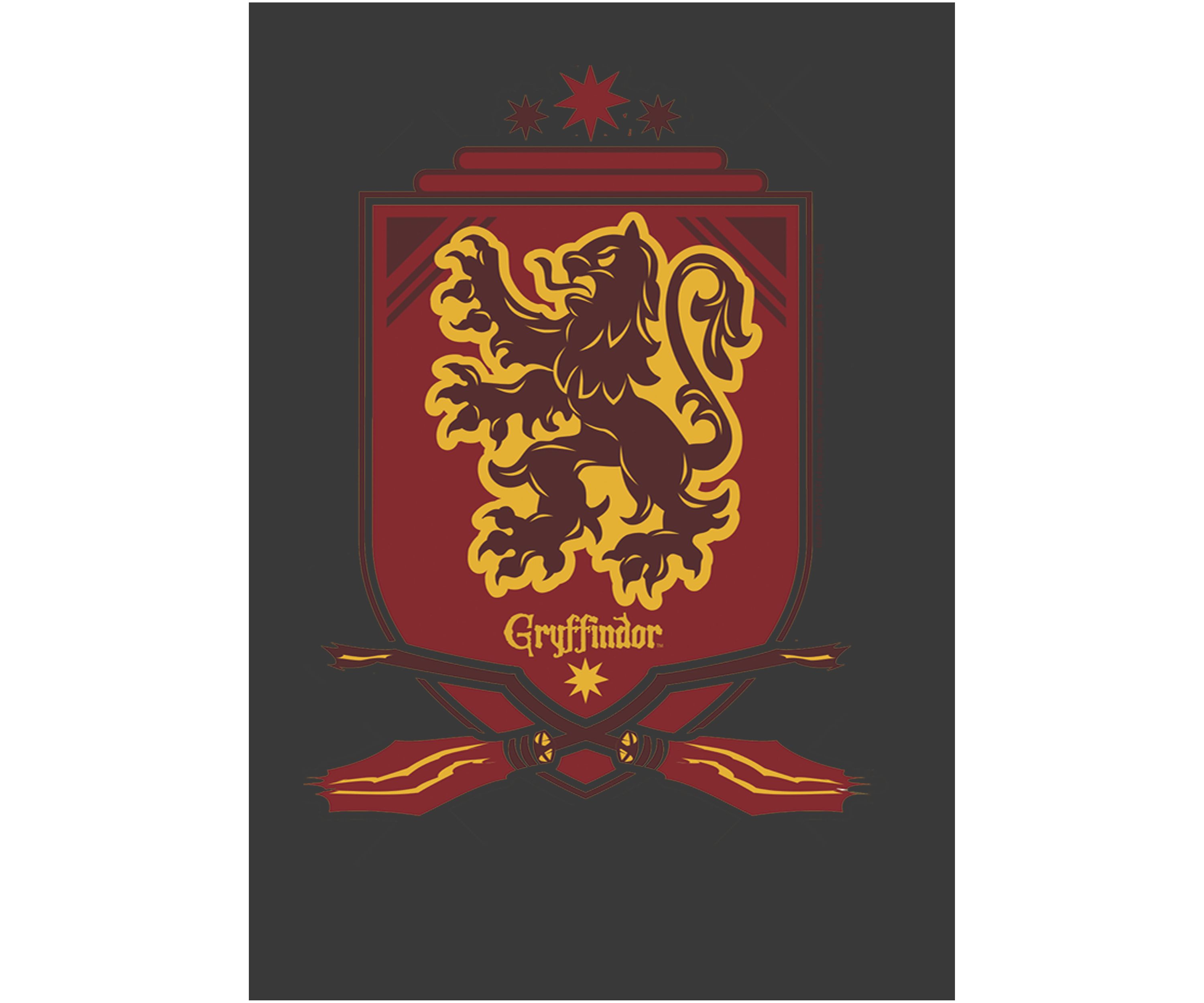 Boys 4-7  Gryffindor Shield Graphic T-Shirt