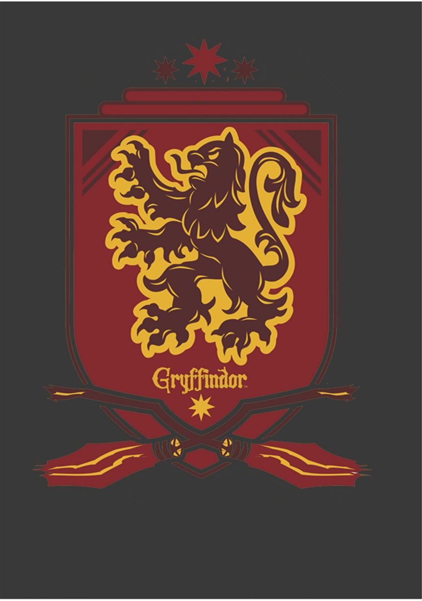 Boys 4-7  Gryffindor Shield Graphic T-Shirt