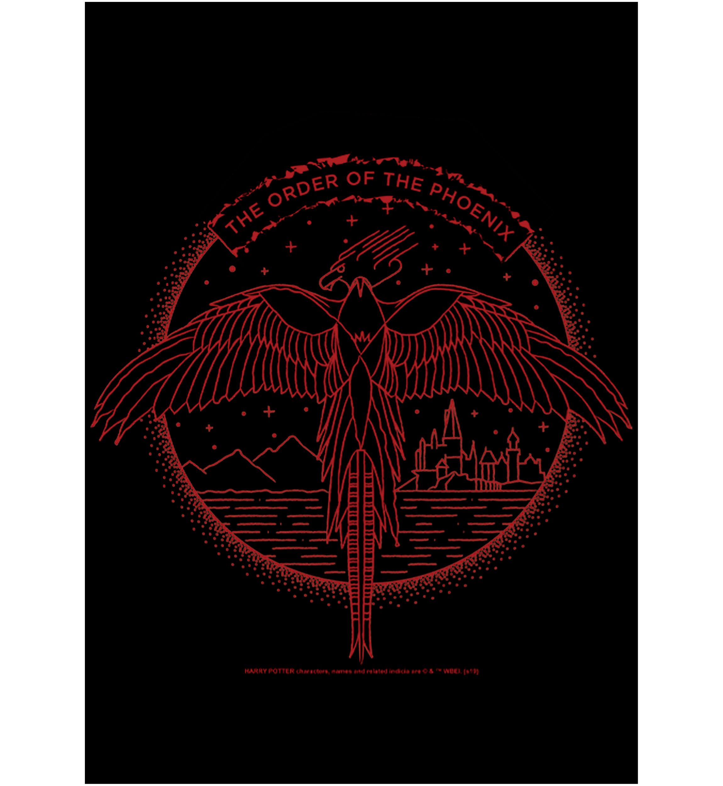 Boys 4-7  Phoenix Line Art Graphic T-Shirt