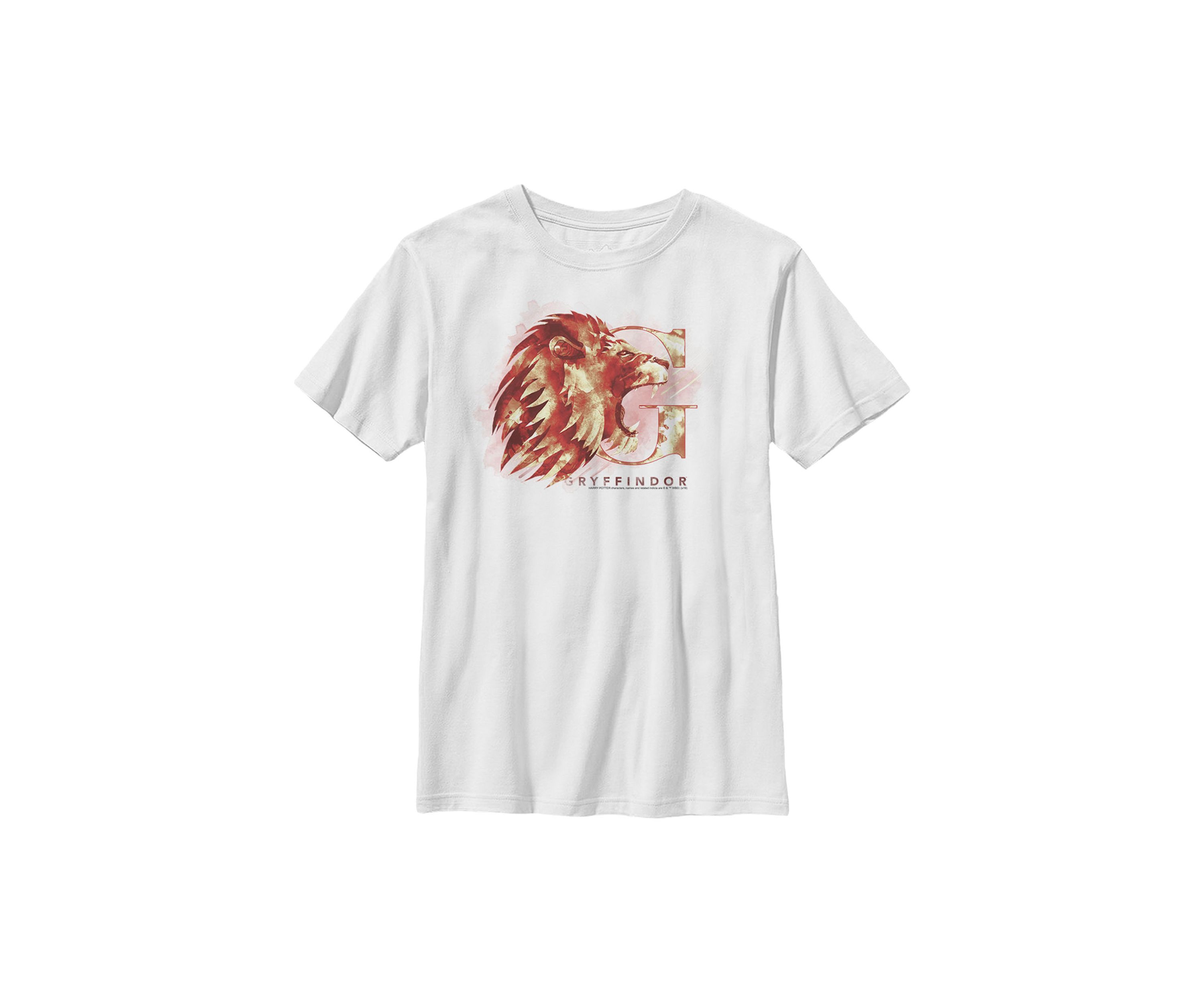 Boys 4-7  Gryffindor Mystic Wash Graphic T-Shirt