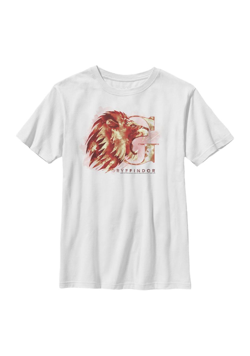 Boys 4-7  Gryffindor Mystic Wash Graphic T-Shirt