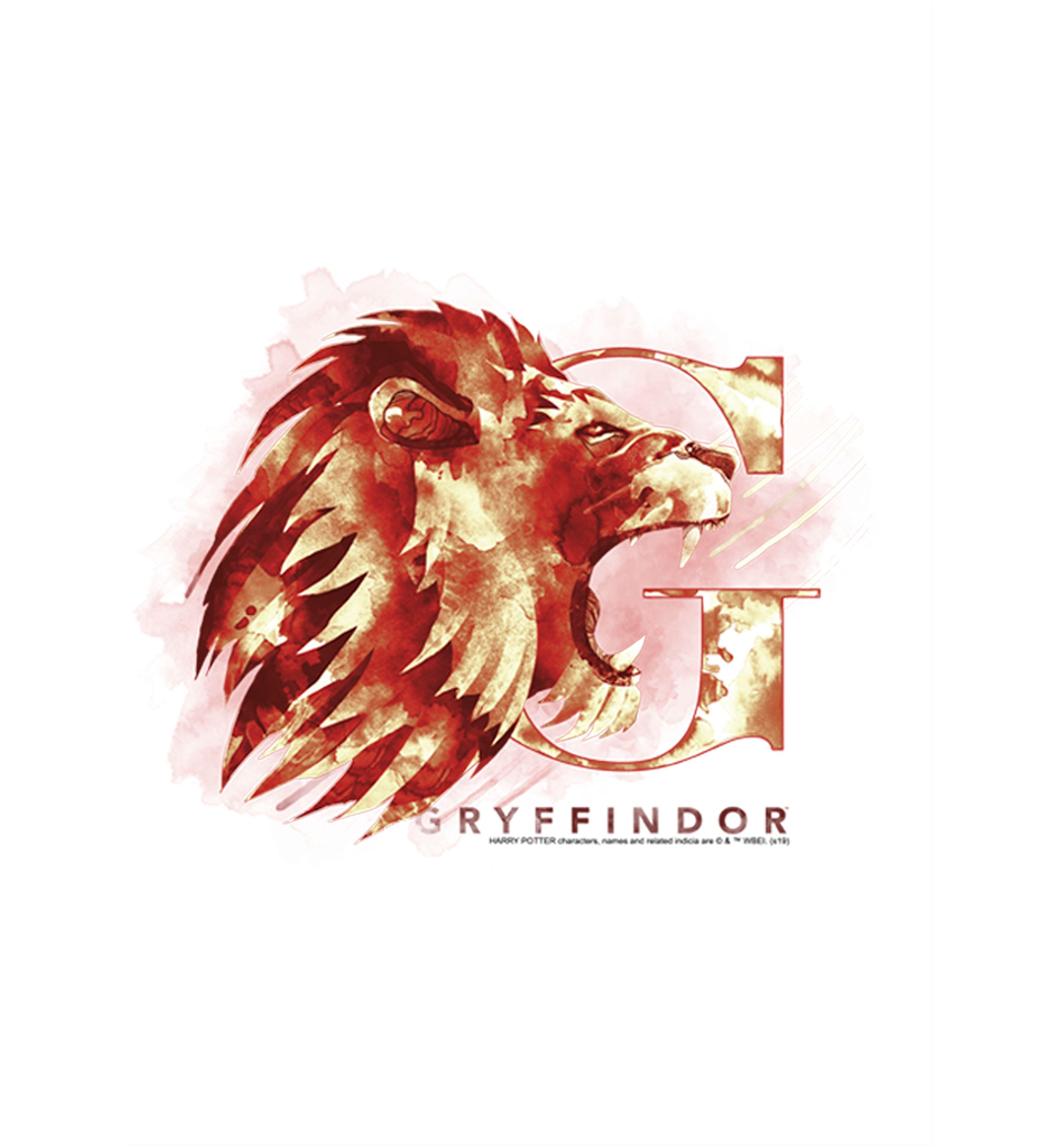 Boys 4-7  Gryffindor Mystic Wash Graphic T-Shirt