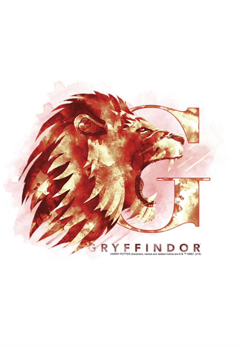 Boys 4-7  Gryffindor Mystic Wash Graphic T-Shirt