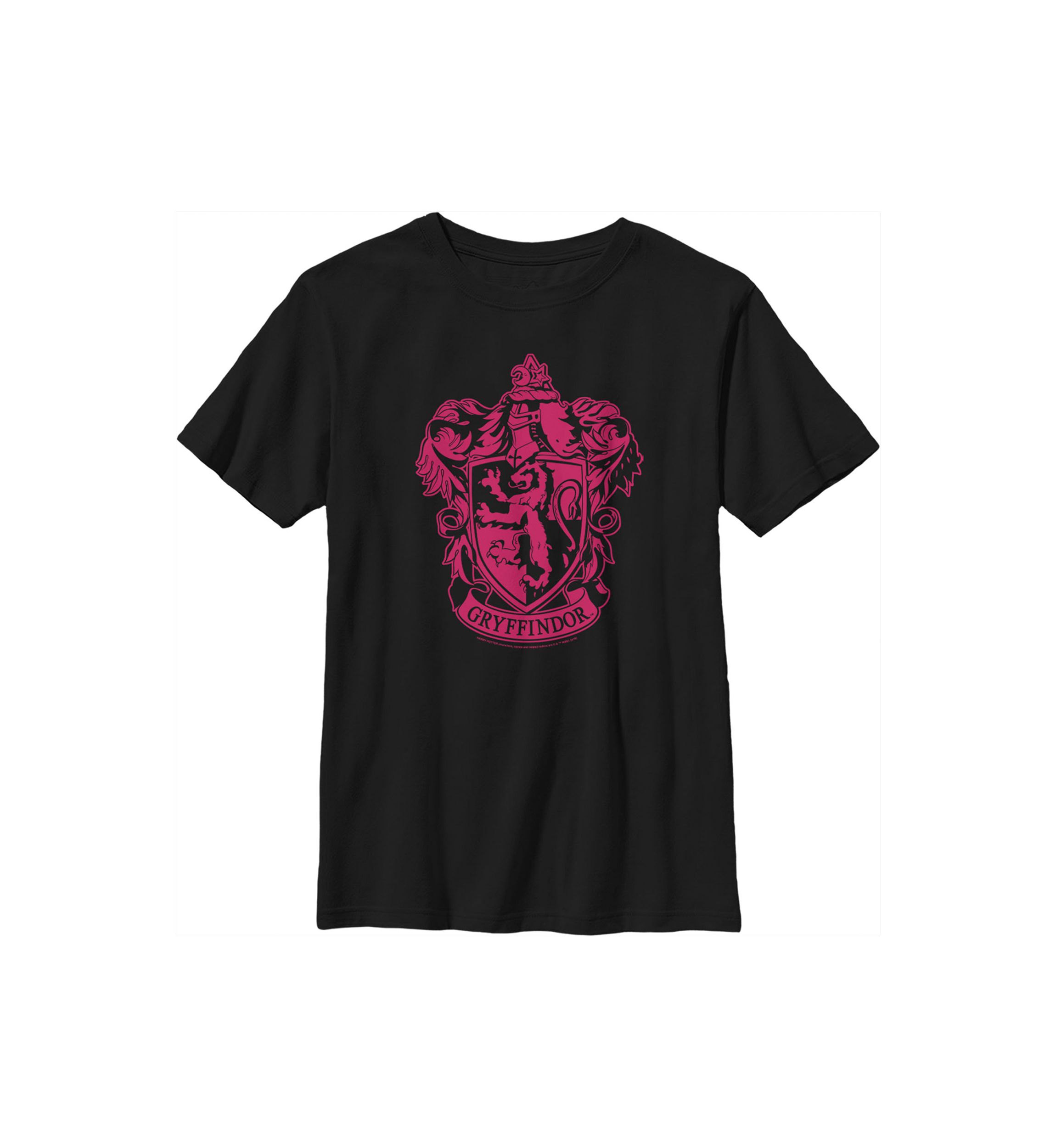 Boys 4-7  Simple Gryffindor Graphic T-Shirt
