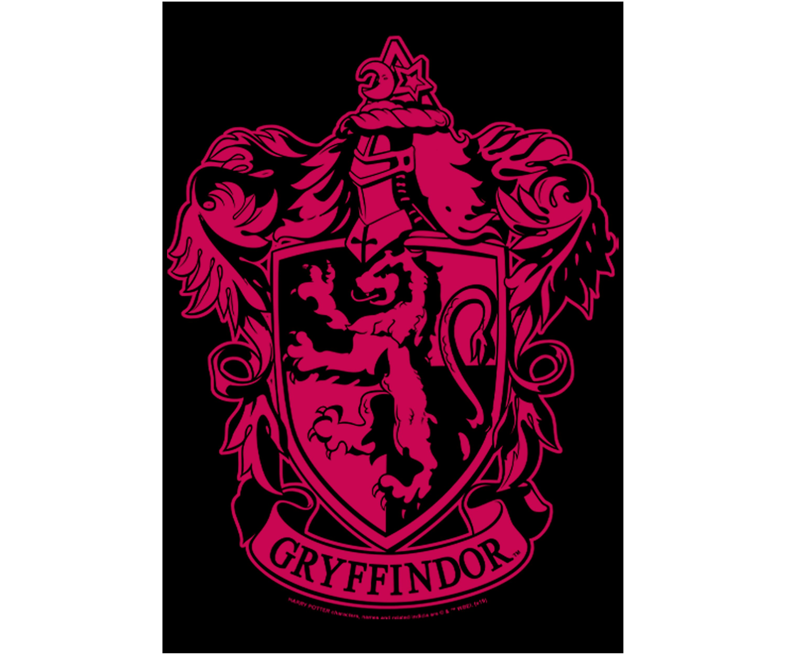 Boys 4-7  Simple Gryffindor Graphic T-Shirt