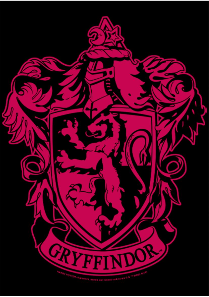 Boys 4-7  Simple Gryffindor Graphic T-Shirt