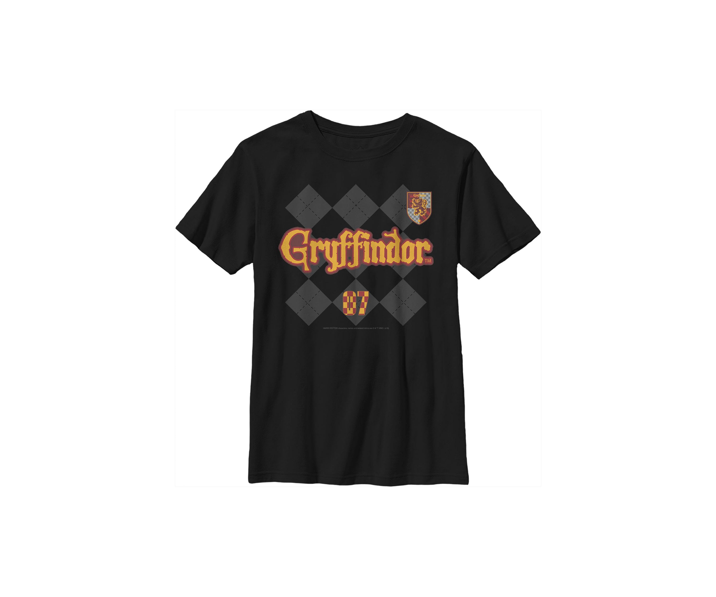 Boys 4-7  Gryffindor Pride Graphic T-Shirt