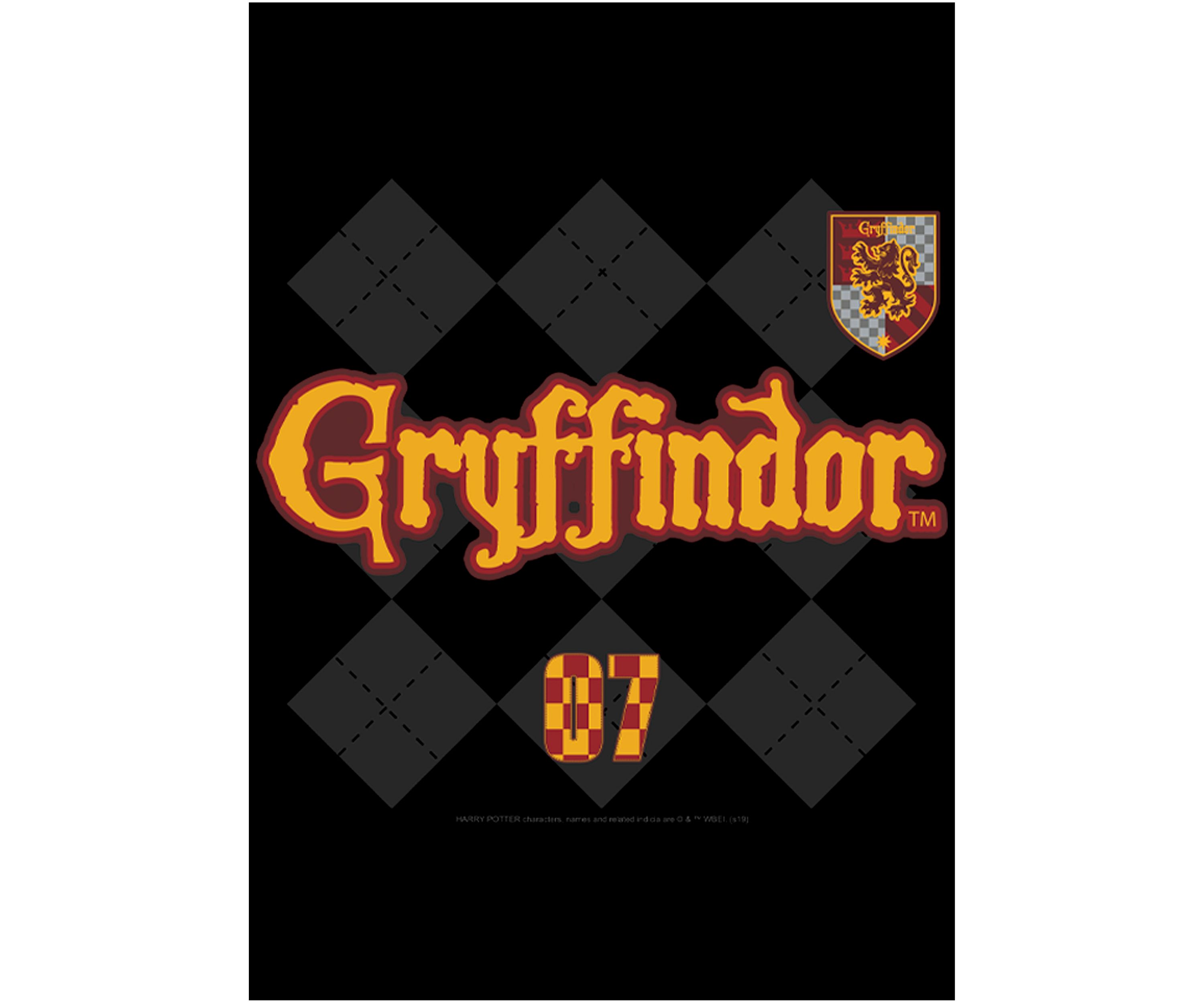 Boys 4-7  Gryffindor Pride Graphic T-Shirt