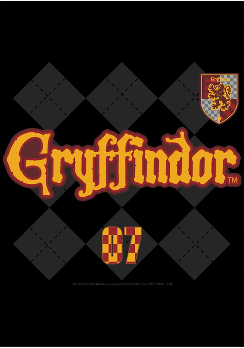 Boys 4-7  Gryffindor Pride Graphic T-Shirt