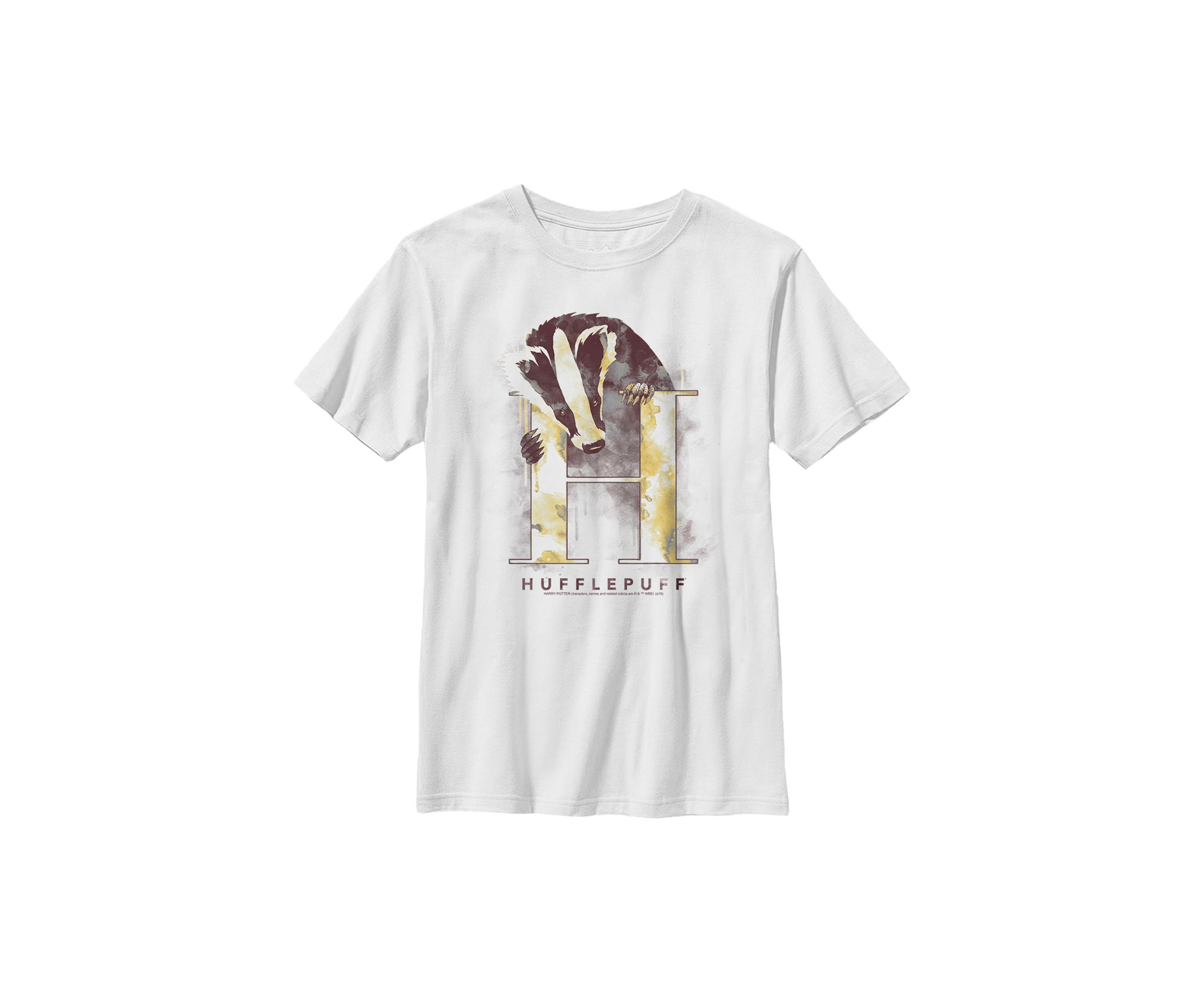 Boys 4-7  Hufflepuff Mystic Wash Graphic T-Shirt