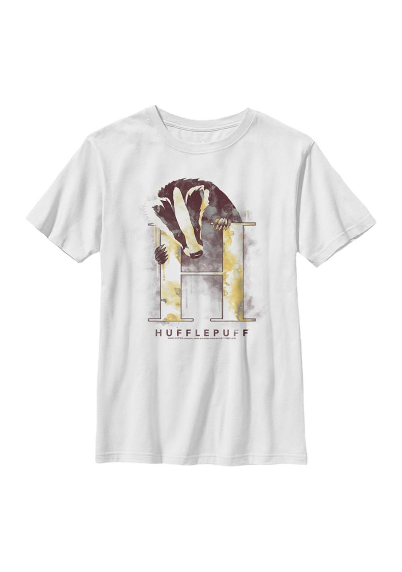 Boys 4-7  Hufflepuff Mystic Wash Graphic T-Shirt