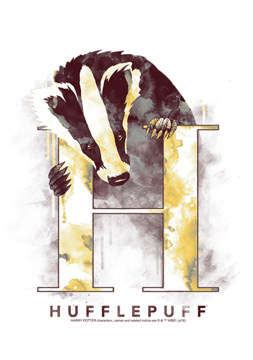 Boys 4-7  Hufflepuff Mystic Wash Graphic T-Shirt