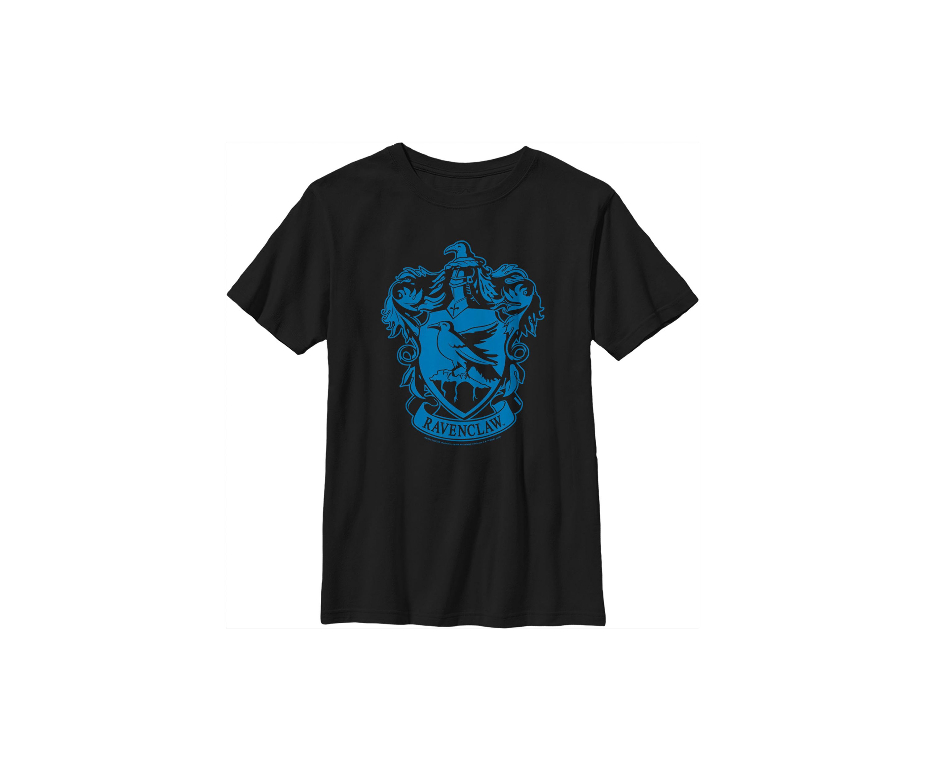 Boys 4-7  Simple Raven Graphic T-Shirt