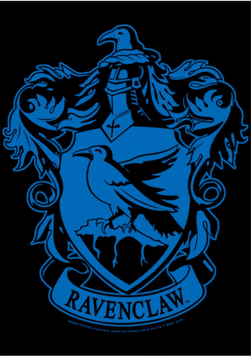 Boys 4-7  Simple Raven Graphic T-Shirt