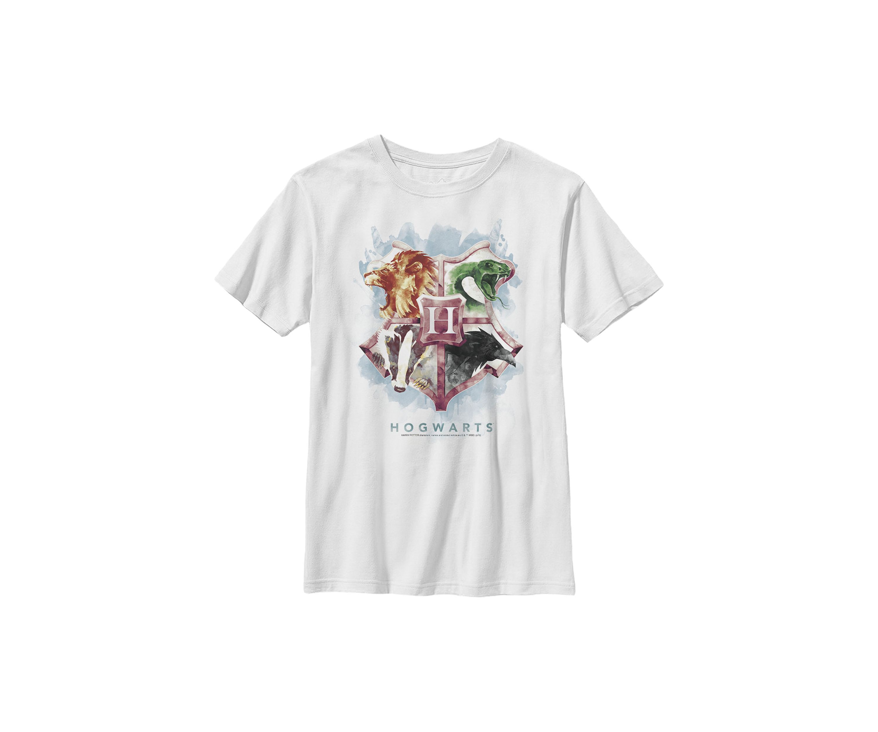 Boys 4-7  Hogwarts Mystic Wash Graphic T-Shirt
