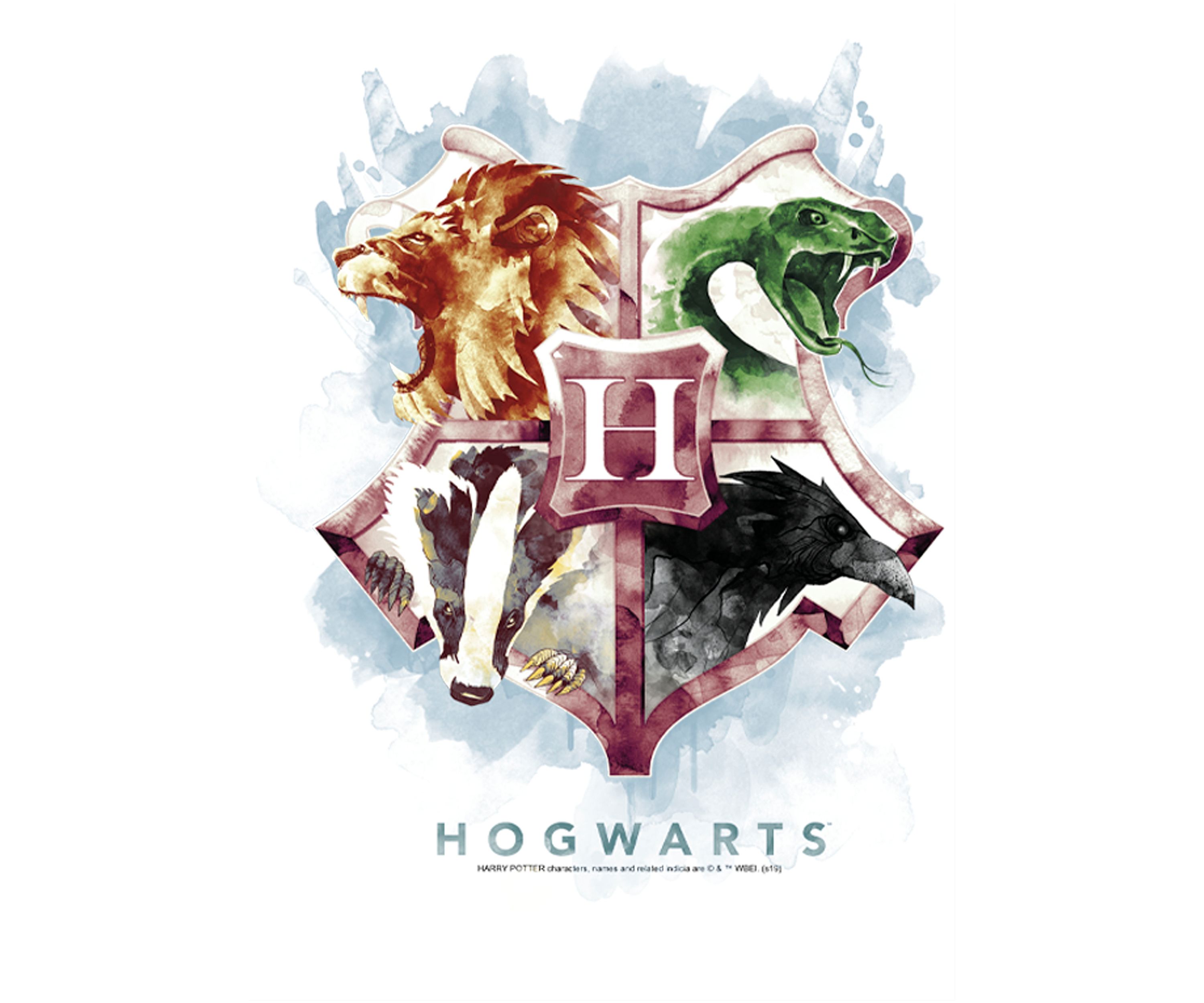 Boys 4-7  Hogwarts Mystic Wash Graphic T-Shirt