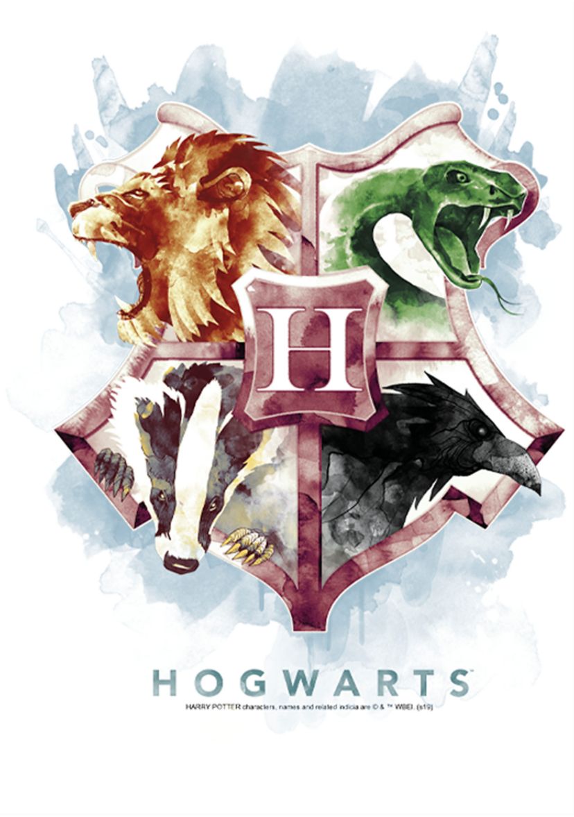 Boys 4-7  Hogwarts Mystic Wash Graphic T-Shirt