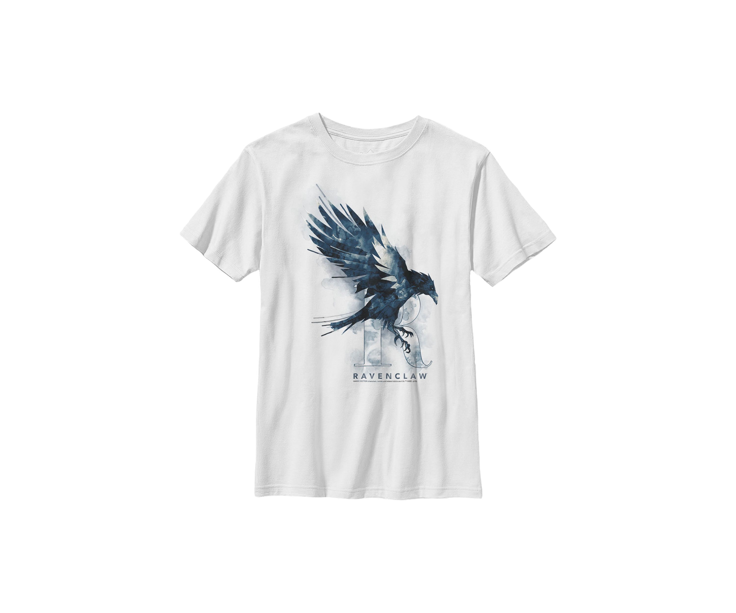 Boys 4-7  Ravenclaw Mystic Wash Graphic T-Shirt