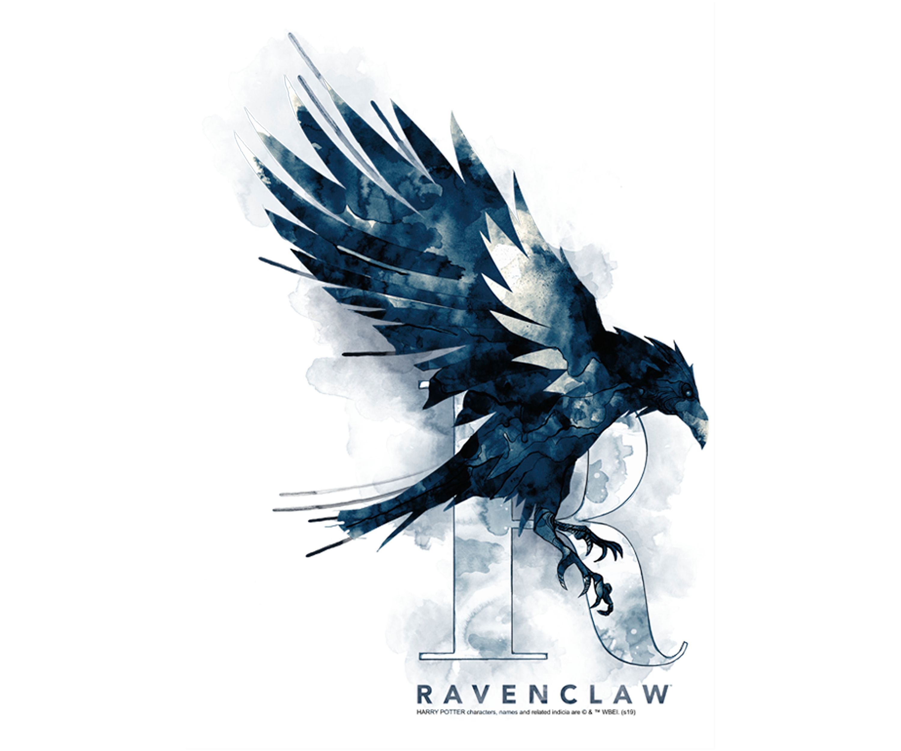 Boys 4-7  Ravenclaw Mystic Wash Graphic T-Shirt