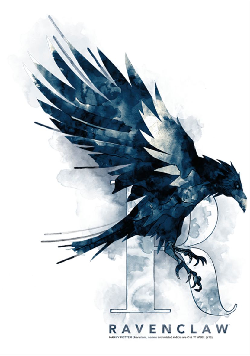 Boys 4-7  Ravenclaw Mystic Wash Graphic T-Shirt