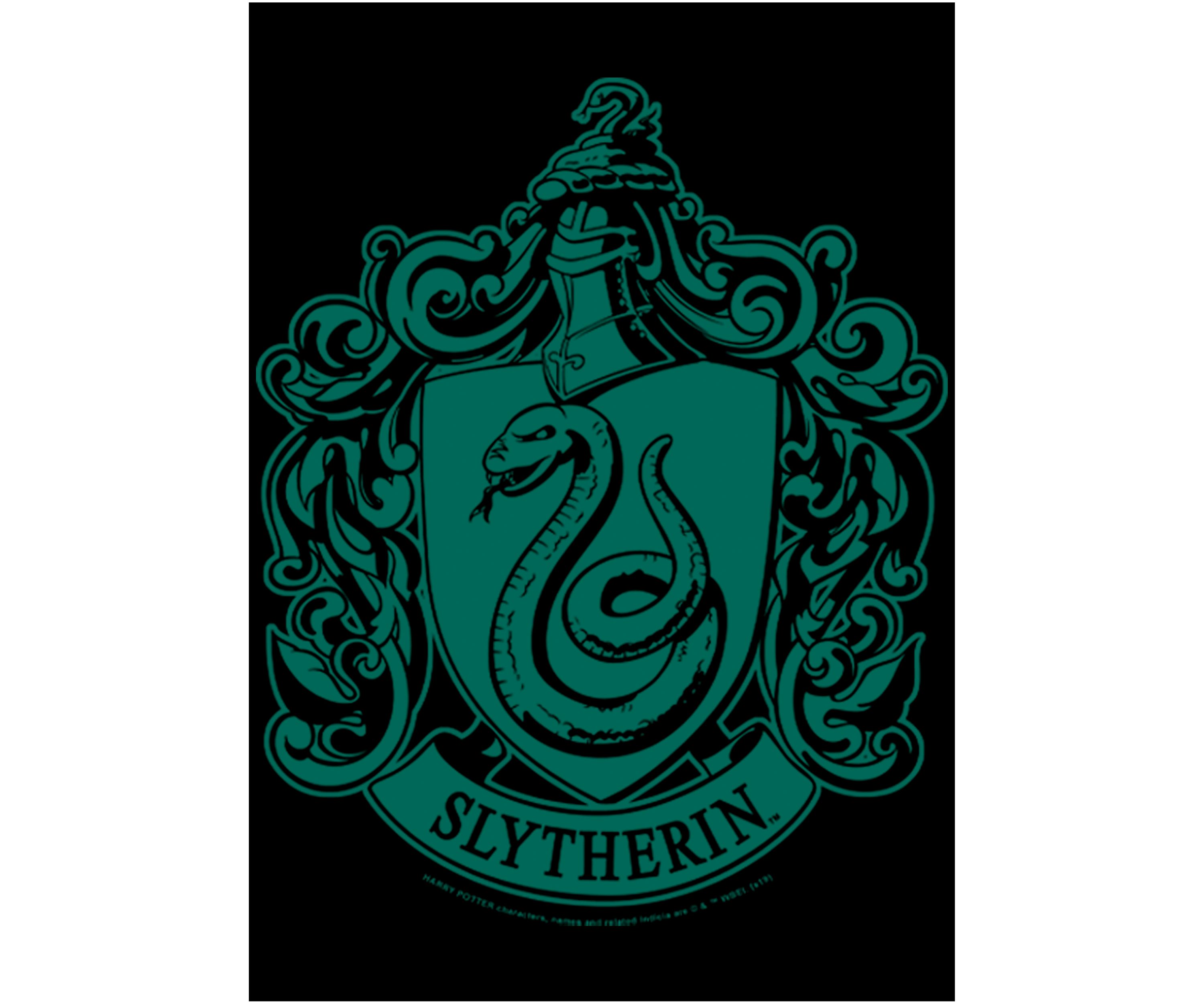 Boys 4-7  Simple Slytherin Graphic T-Shirt
